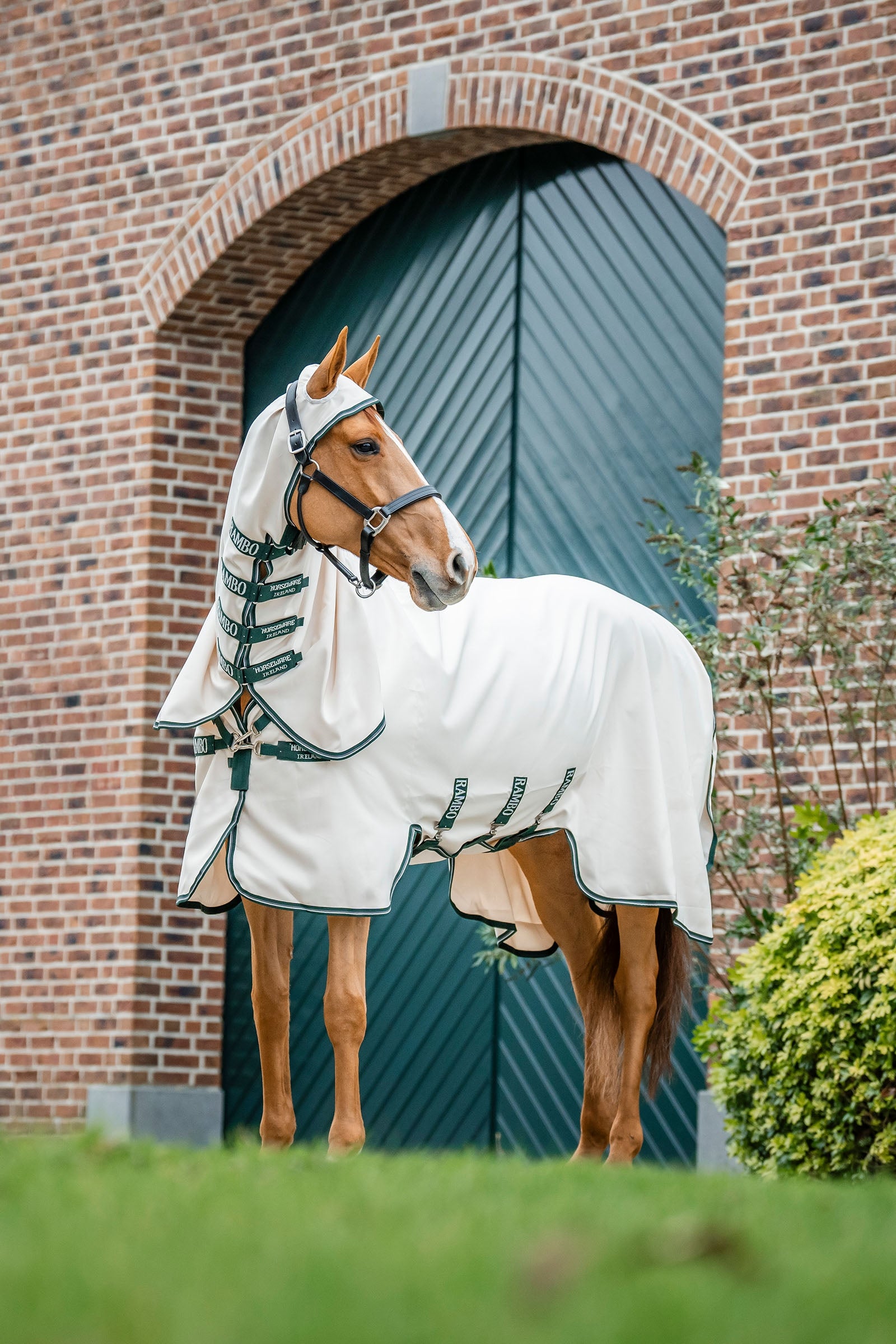 Horseware Rambo Hoody Fliegendecke Pferdedecken
