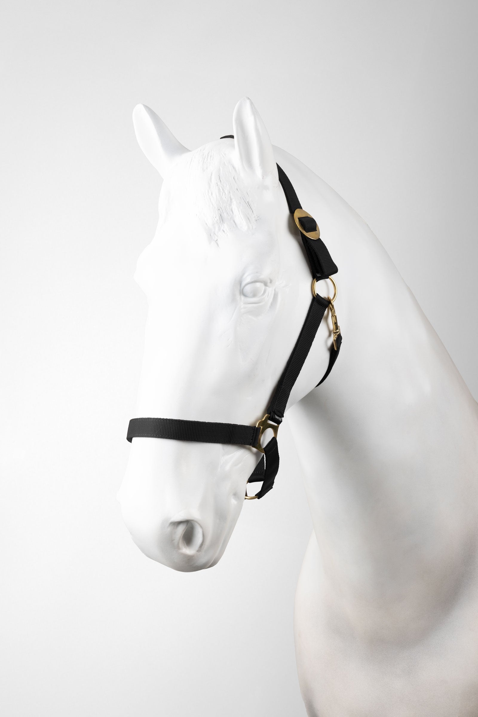 Horze Halter Set (3 pcs) Halters & Leads