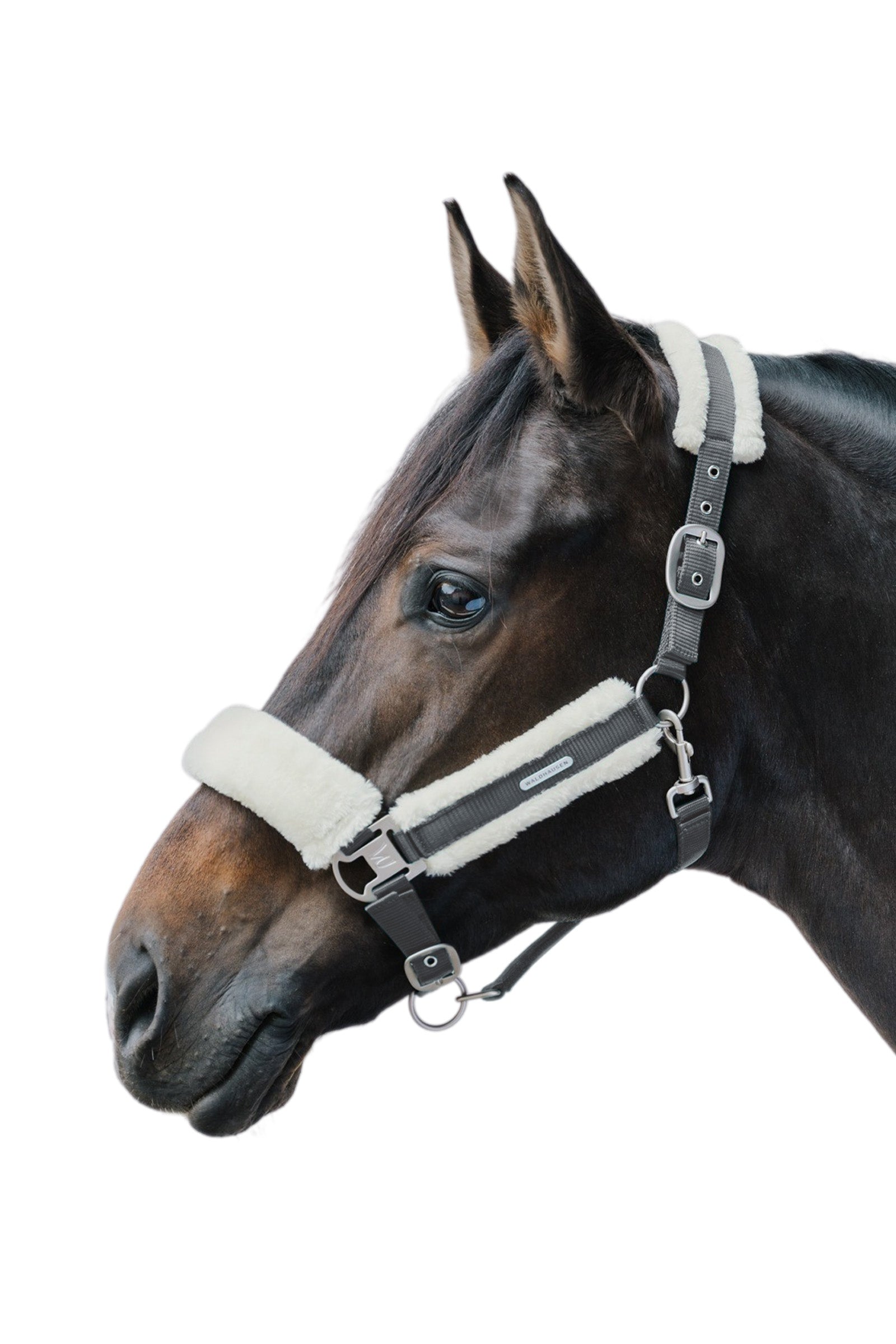 Waldhausen Soft Halter Halters & Leads