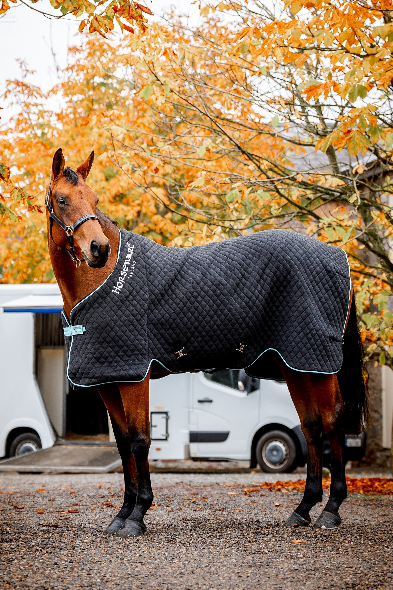 Horseware Autumn Cooler Abschwitzdecke Pferdedecken