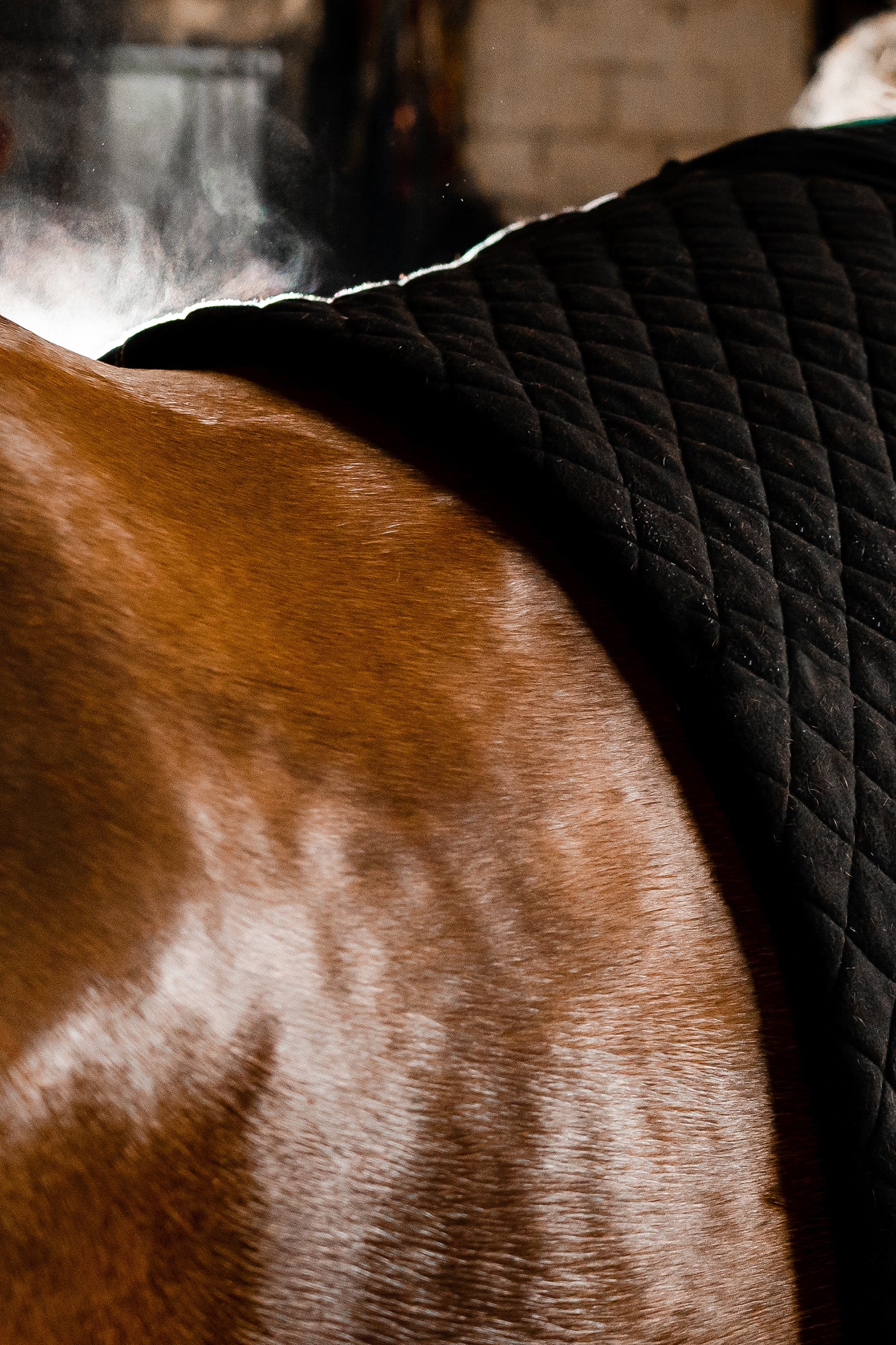 Horseware Autumn Cooler Horse Rugs