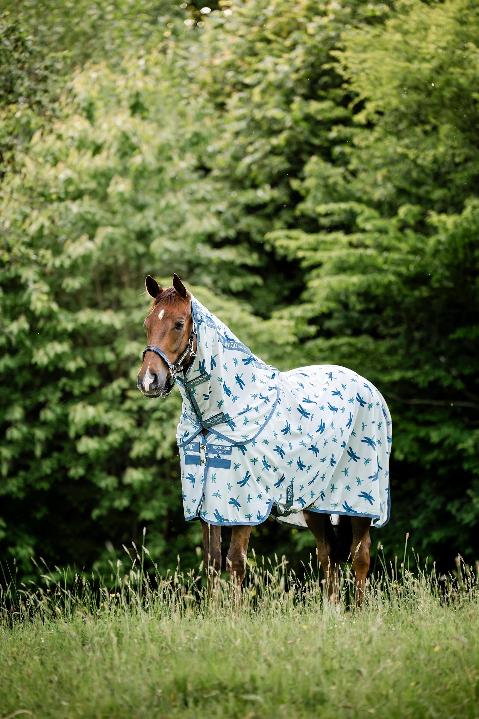 Horseware Amigo Bug Rug Plus Horse Rugs