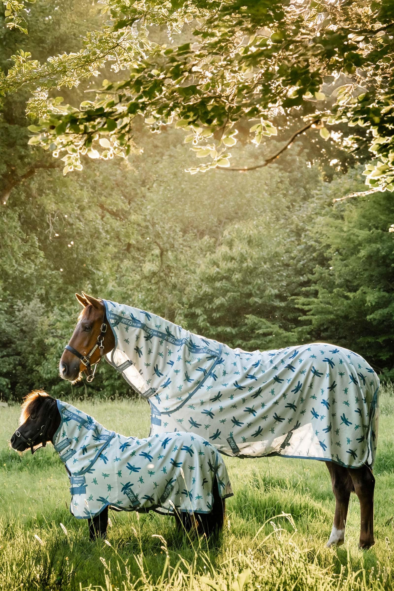 Horseware Amigo Bug Rug Plus Horse Rugs