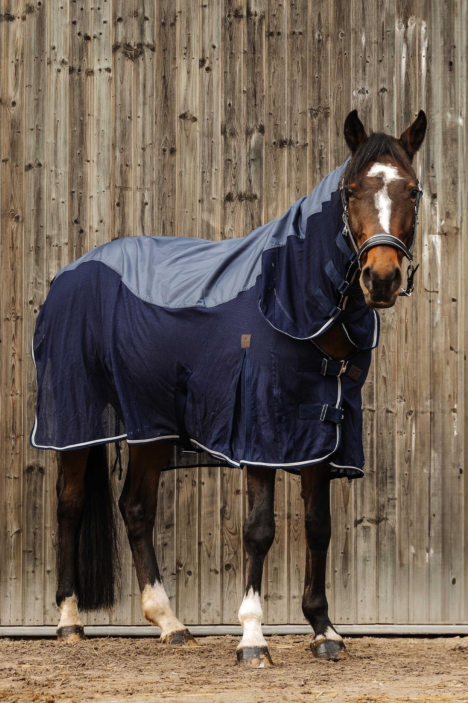 EQUITHÈME Combo Mixte Decke Pferdedecken
