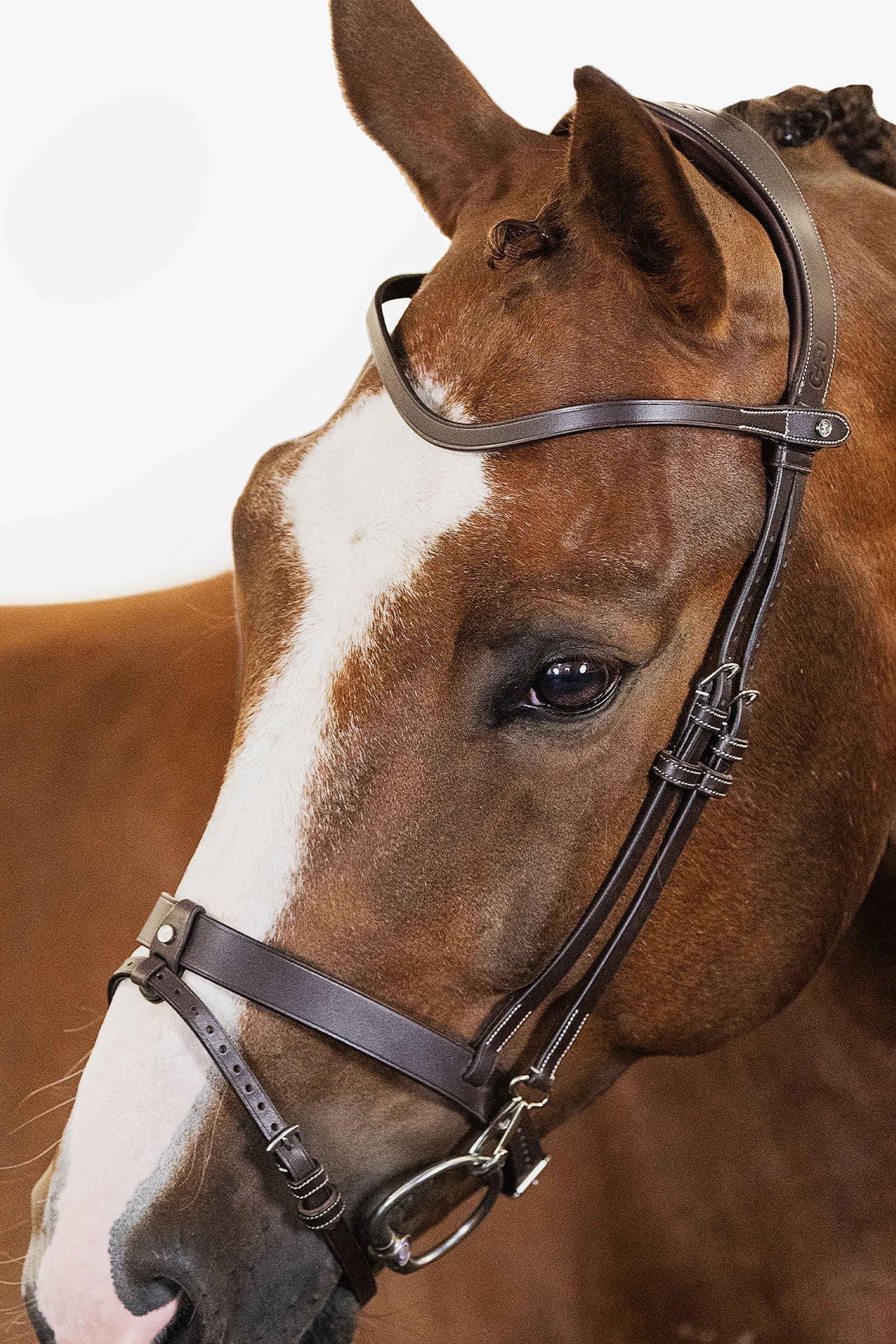 PS of Sweden London Bridle Trensenzäume & Zügel