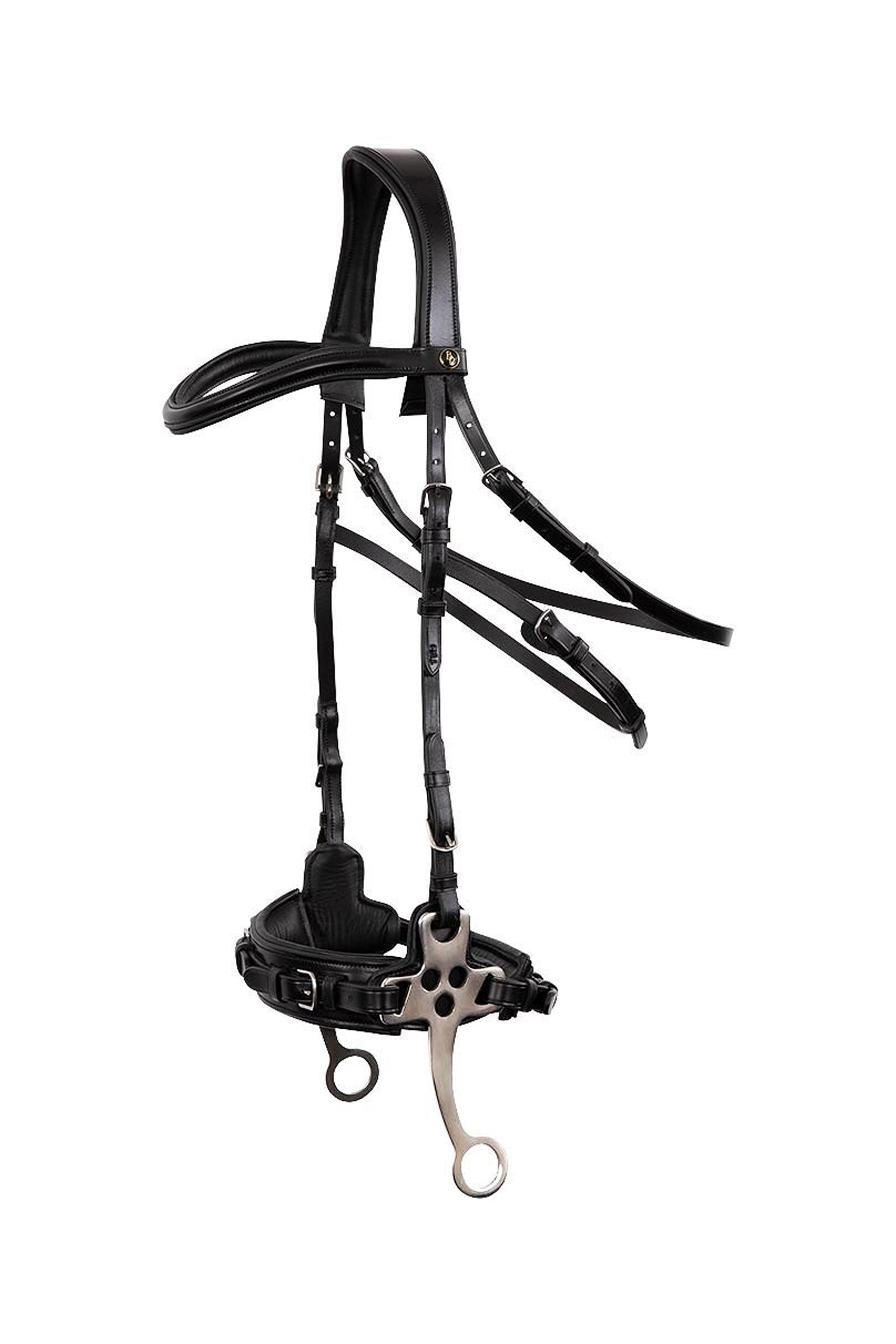 BR Lydney anatomisches Hackamore Gebisse