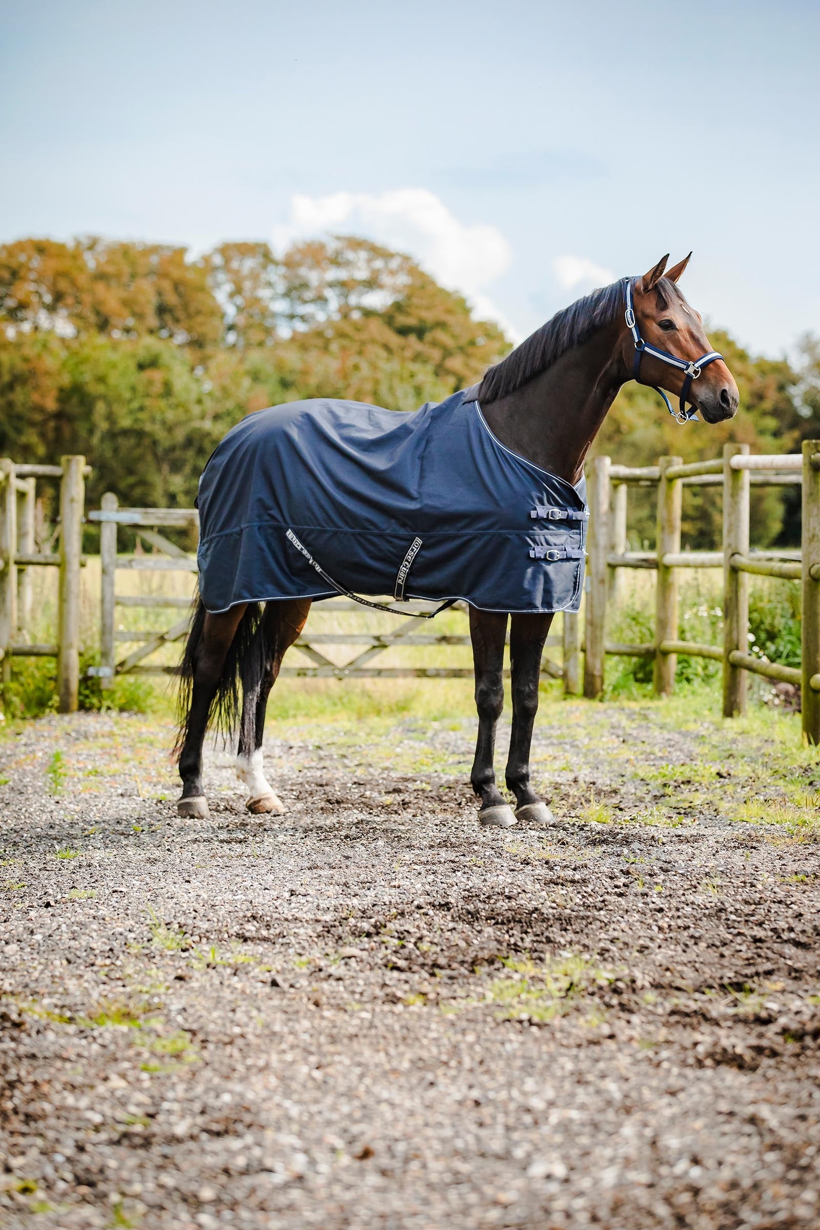 Horse Guard HorseGuard Landon 1200D Weidedecke mit Standard Hals, 0 g Pferdedecken