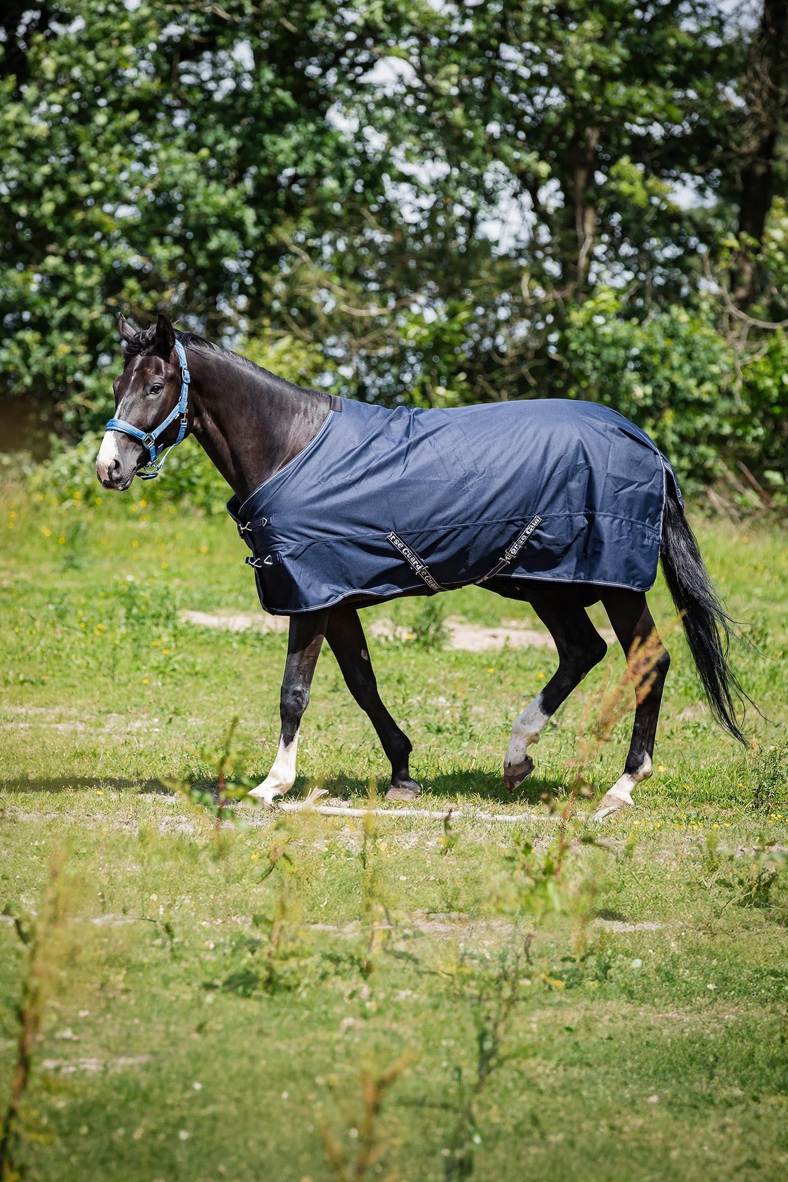 Horse Guard HorseGuard Landon 1200D Turnout Rug Standard Neck, 0 g Horse Rugs