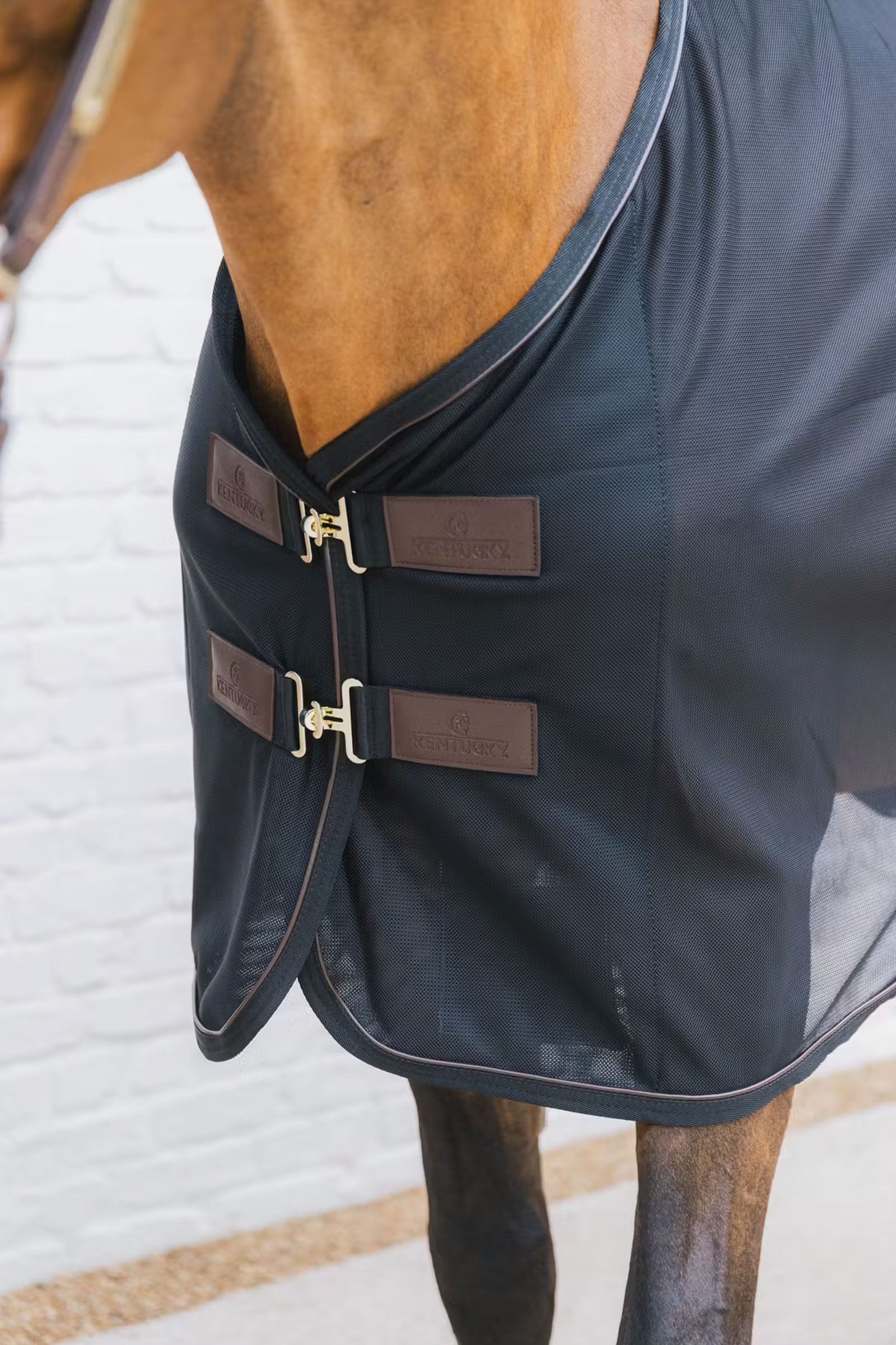 Kentucky Horsewear Mesh Fly Sheet Horse Rugs