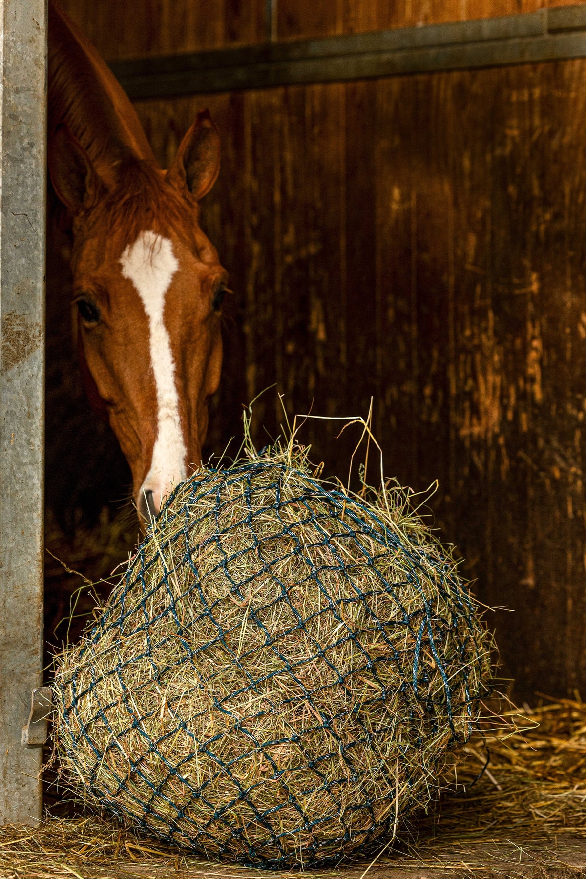 HIPPOTONIC ZARI Heunetz (105 cm), 5 x 5 Mesh Füttern & Tränken