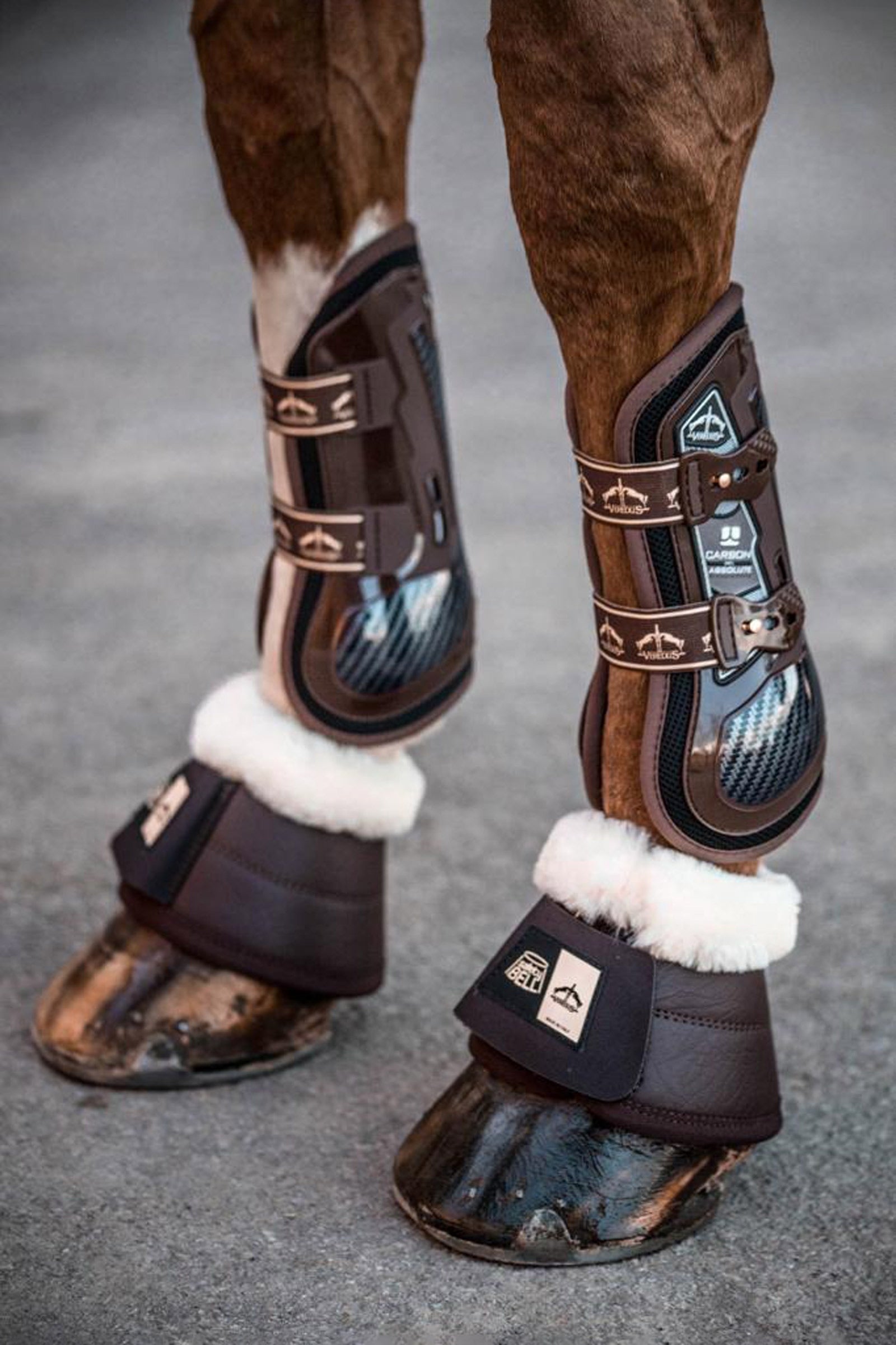 Veredus Carbon Gel Absolute Tendon Boots Leg Protection & Hoof Protection for Horses