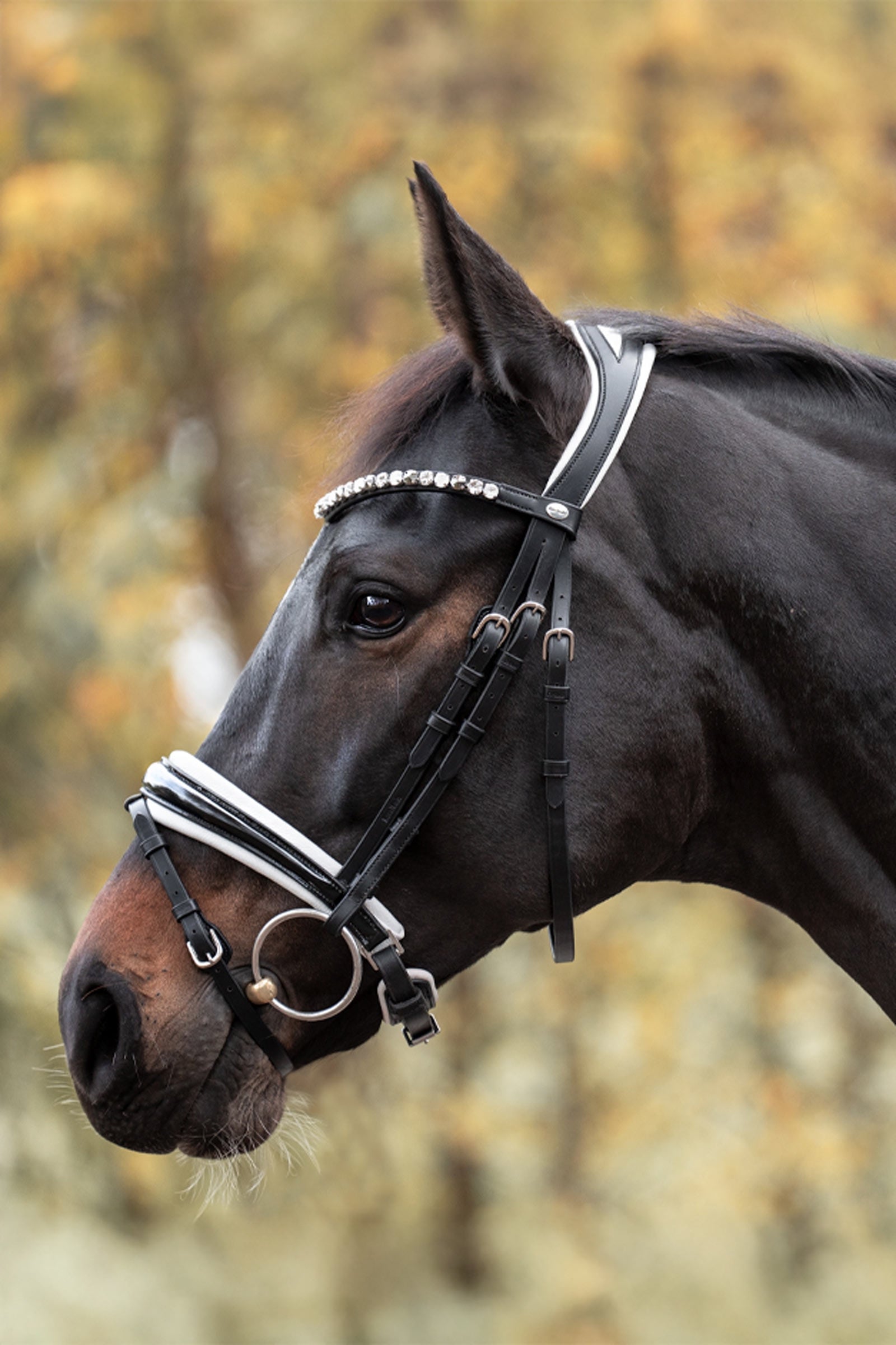 Kavalkade Zora Crank Bridle With Flash Bridles & Reins