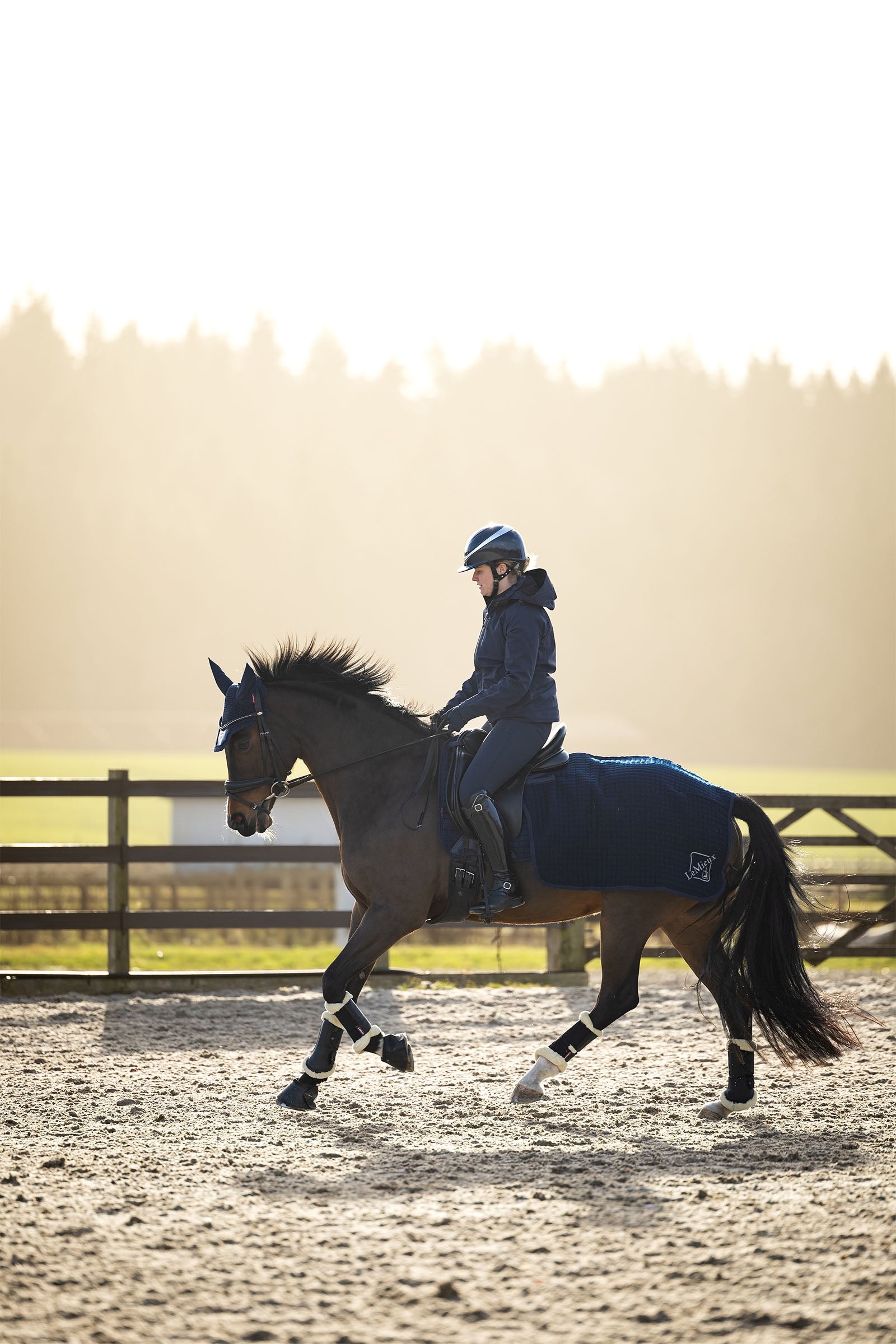 LeMieux Clima Tek Quarter Sheet Horse Rugs