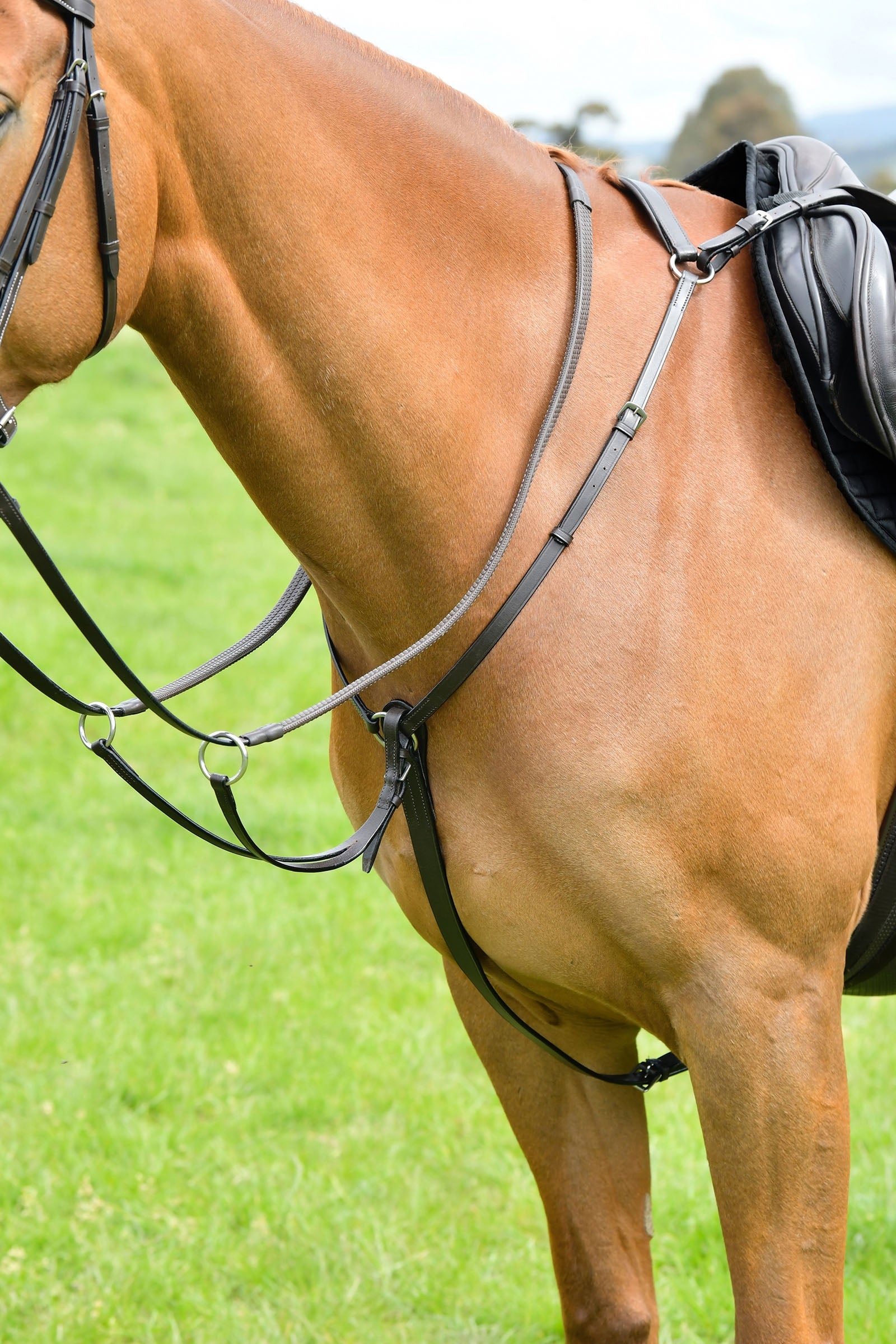 Kincade Classic 3-Punkt Vorderzeug mit laufendem Martingal Trensenzäume & Zügel