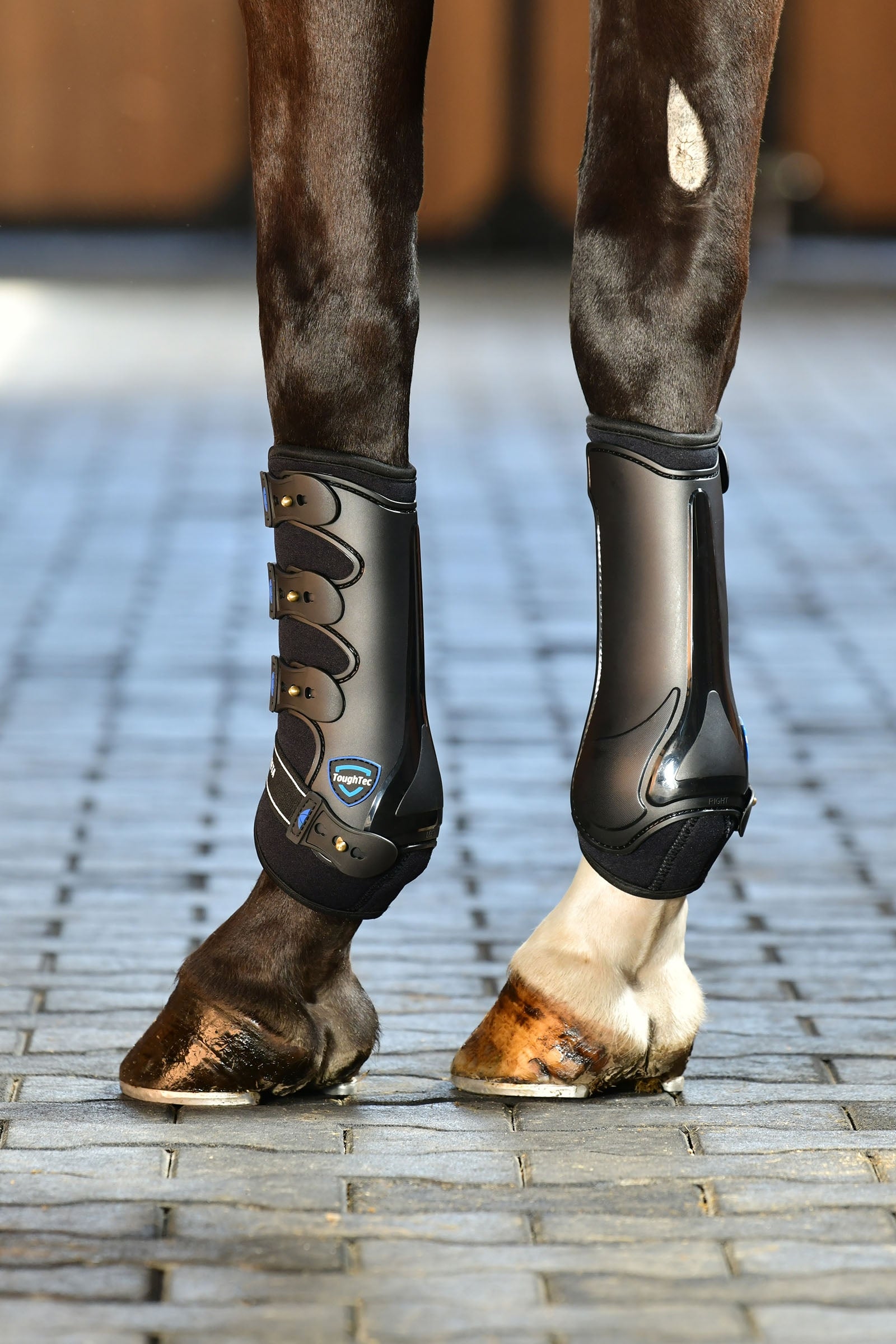 Weatherbeeta Tough-Tec Hard Shell Dressage Boots Leg Protection & Hoof Protection for Horses