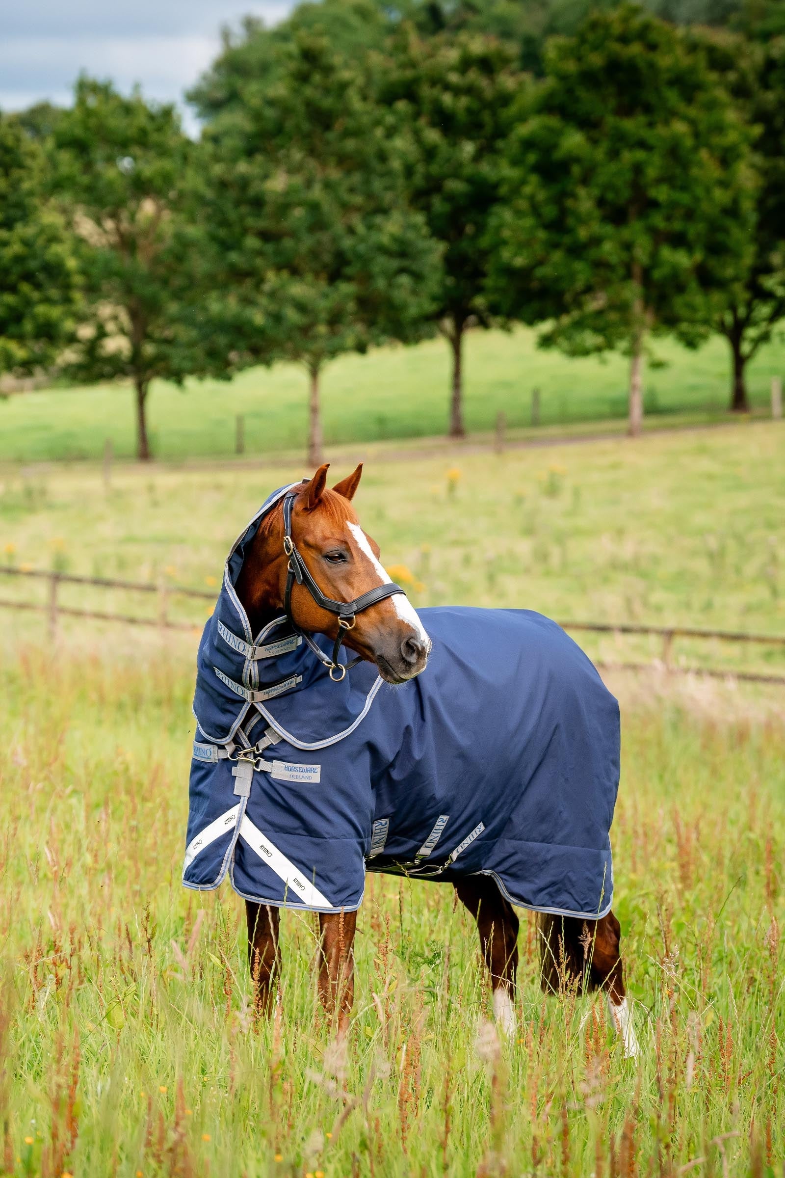 Horseware Rhino Plus Turnout Lite incl. detachable neck, 100g Horse Rugs