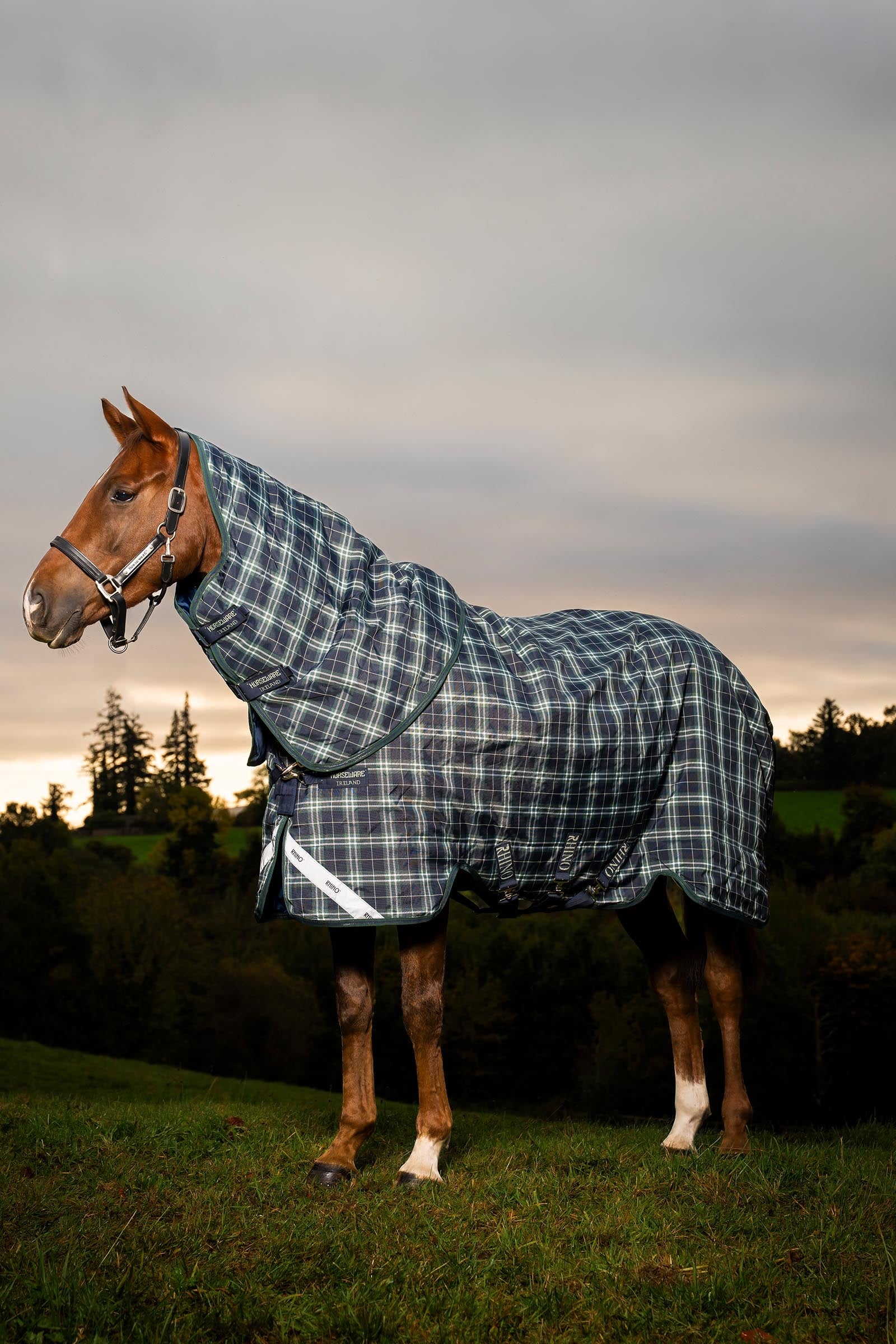 Horseware Rhino Plus Turnout Lite incl. detachable neck, 100g Horse Rugs