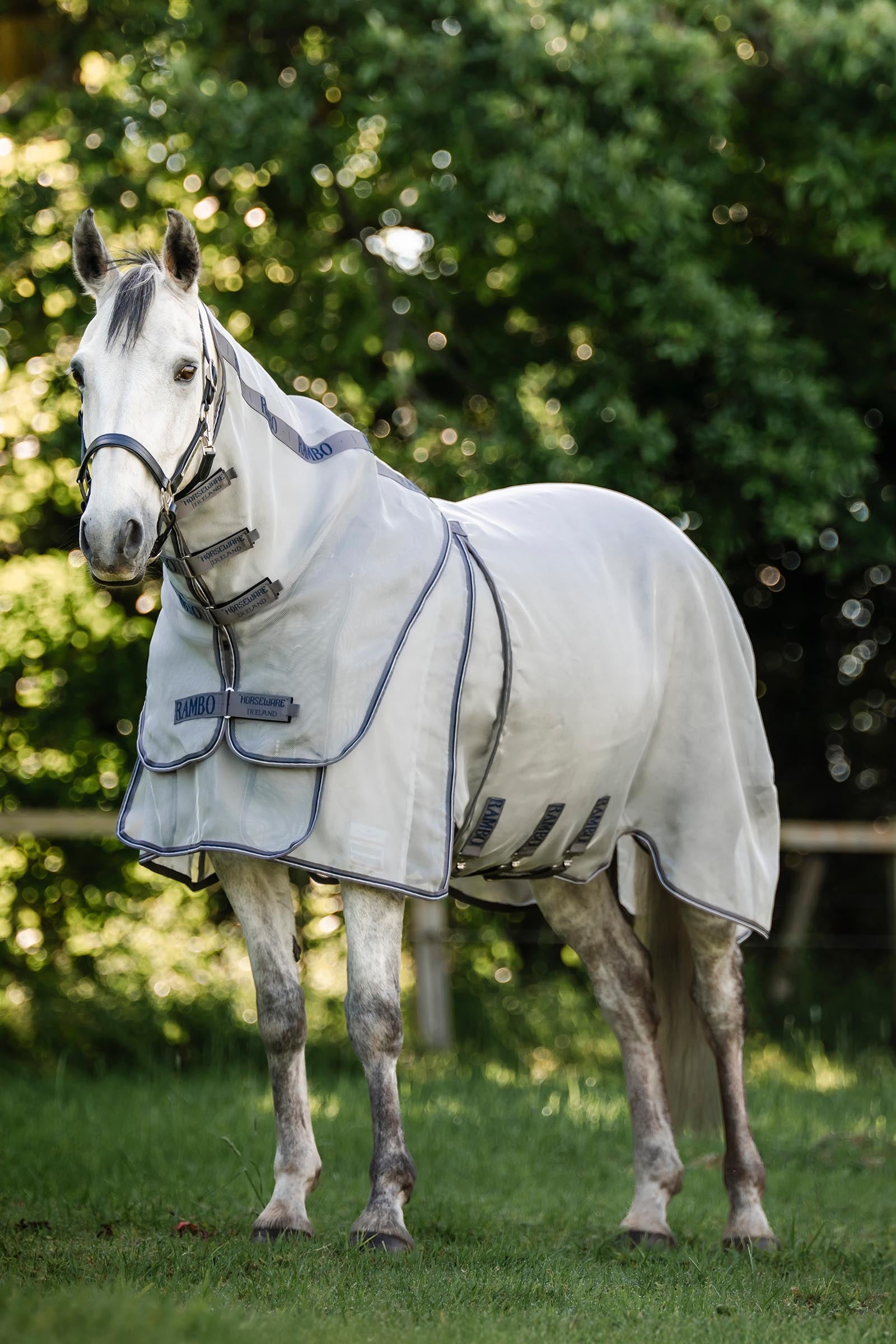 Horseware Rambo Optimo Protector Plus Rug Horse Rugs