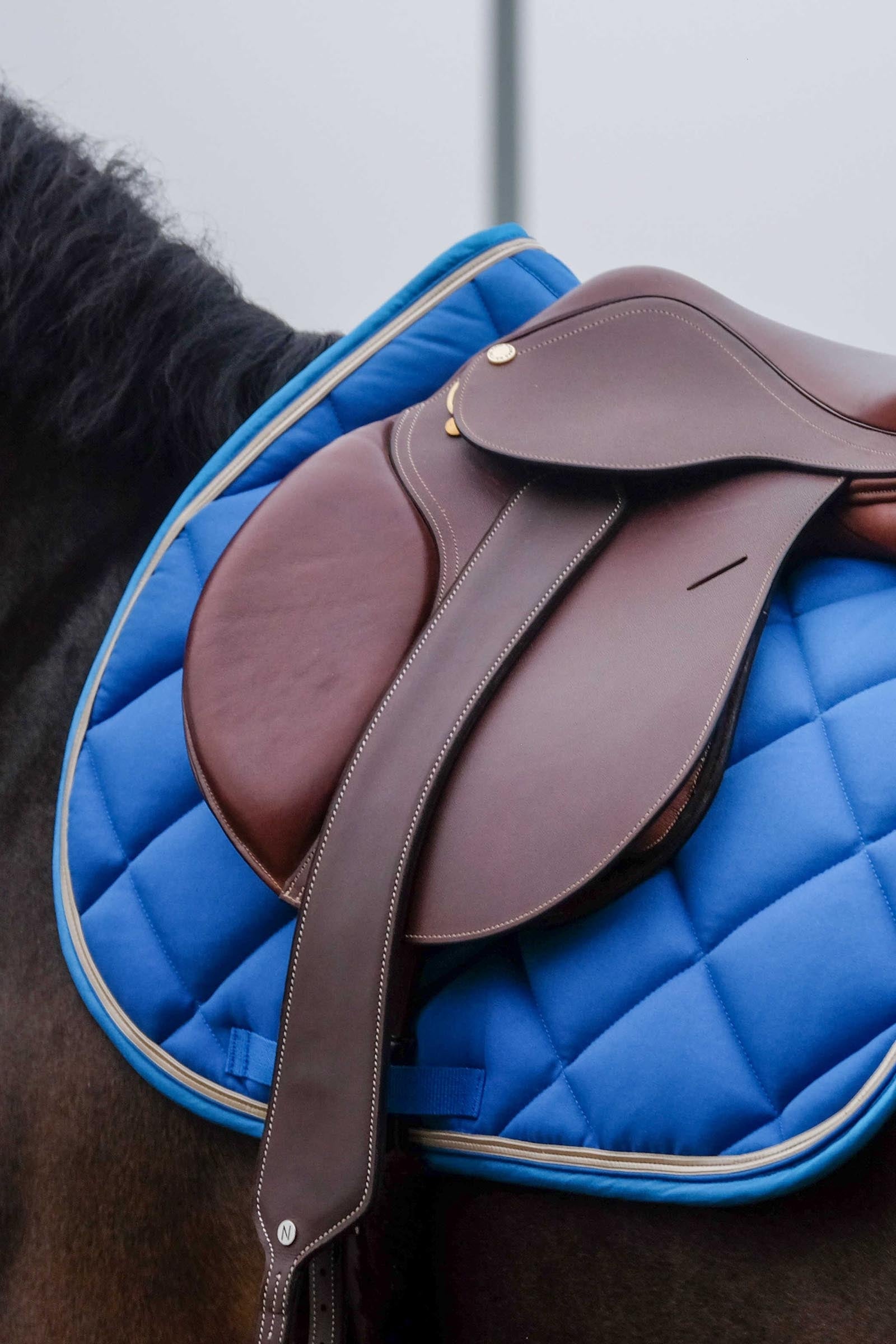 EQUITHÈME Classic Saddle Pad Saddle Pads