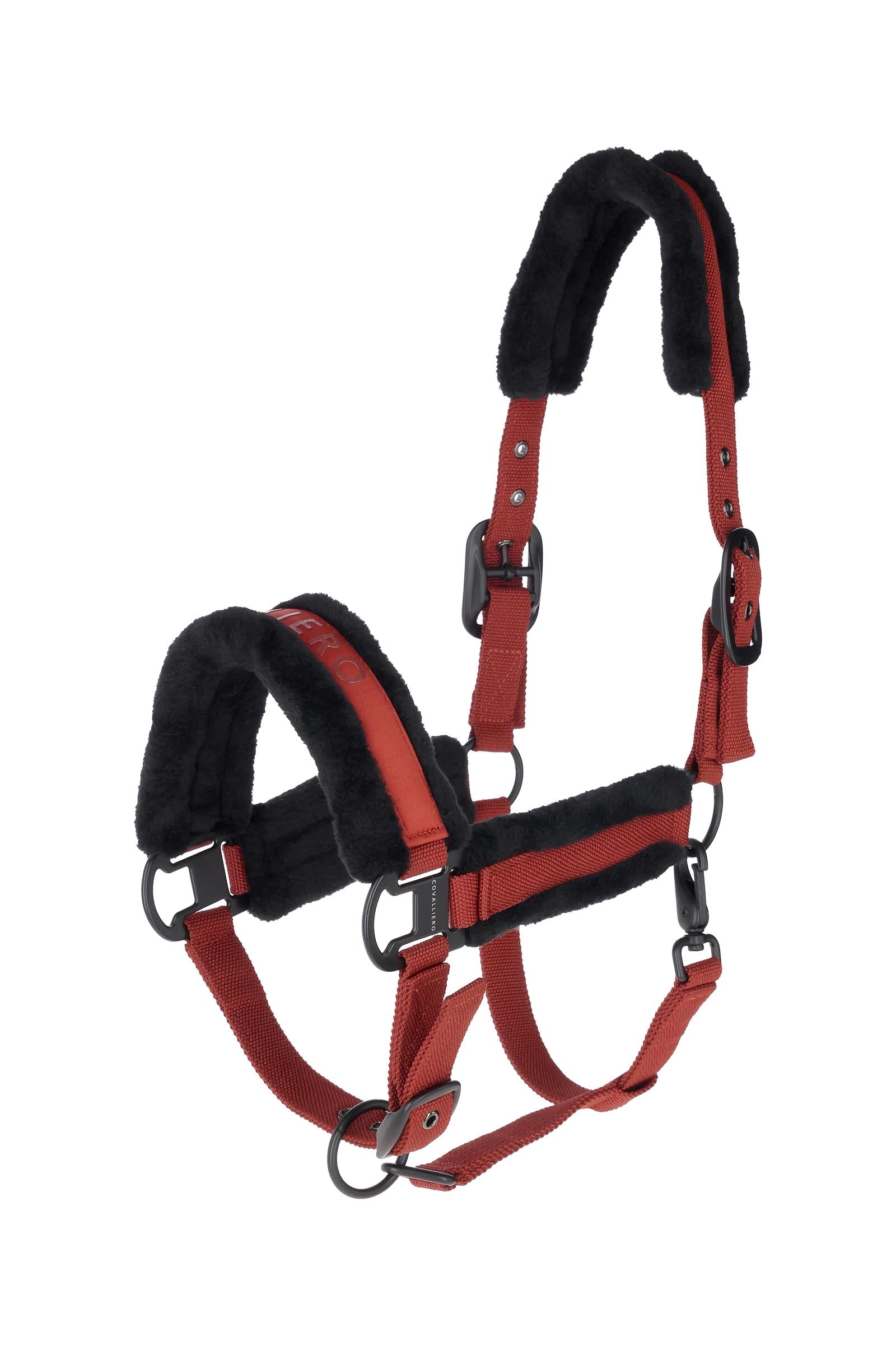Covalliero Gepolstertes Halfter Halfter & Stricke