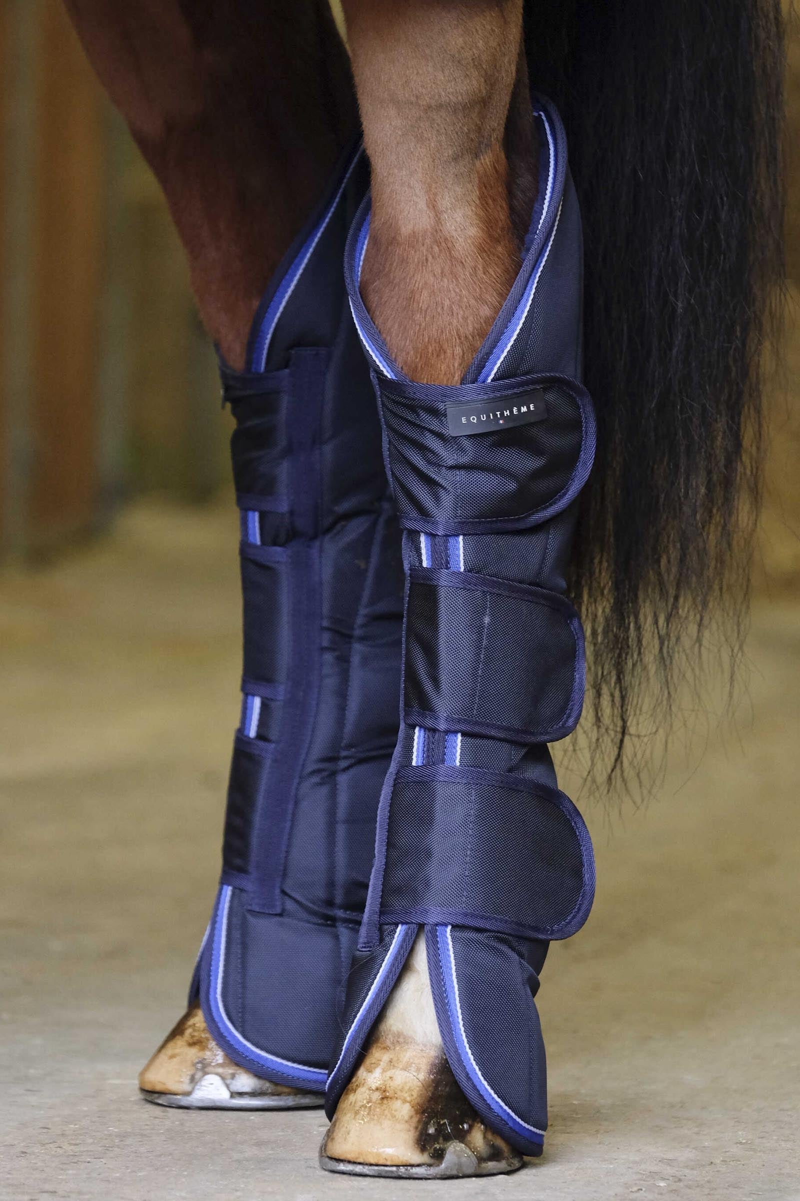 EQUITHÈME TYREX 1680D Transportgamaschen Leg & Hoof Protection