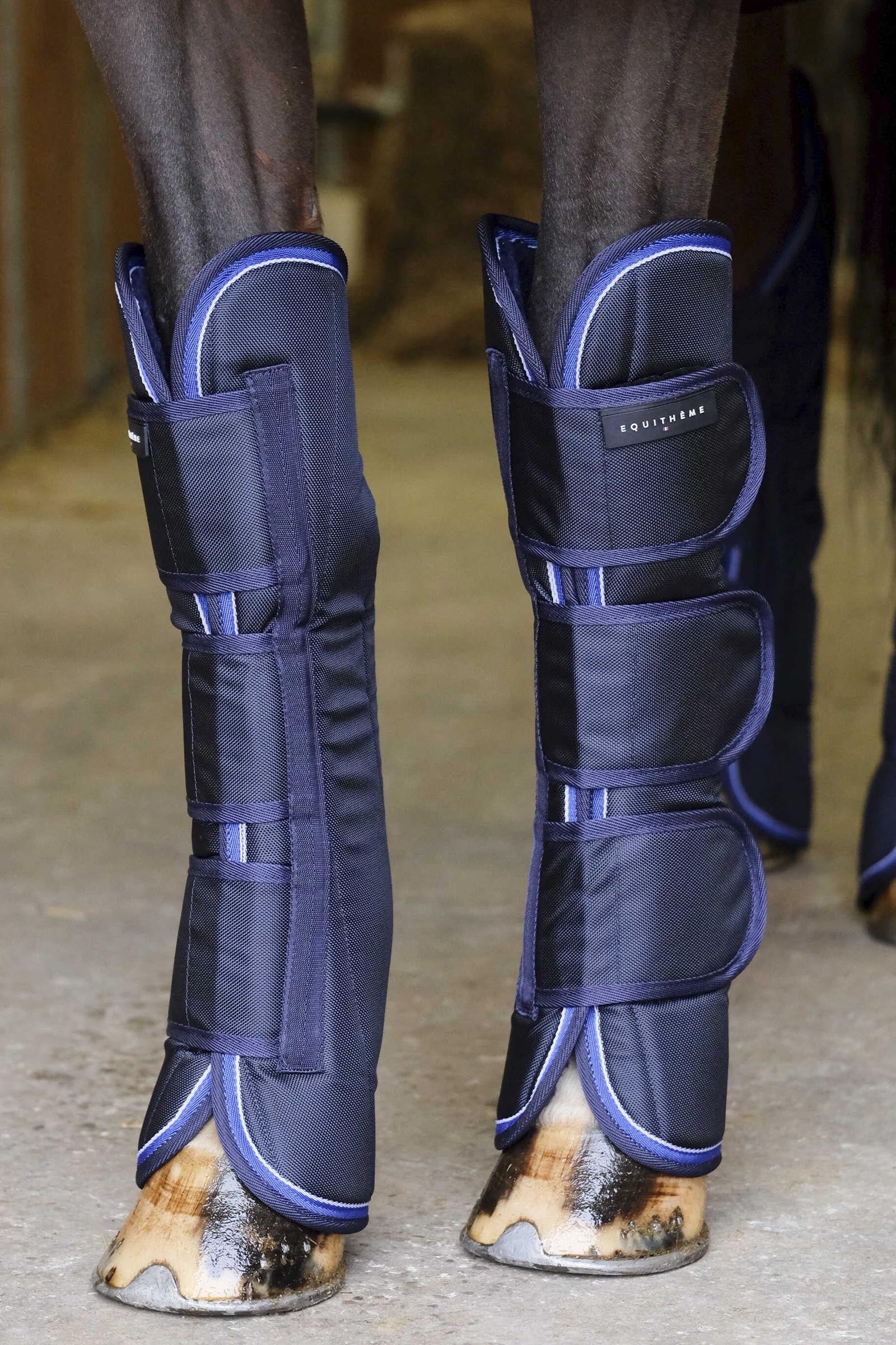 EQUITHÈME TYREX 1680D Transport Boots Leg & Hoof Protection