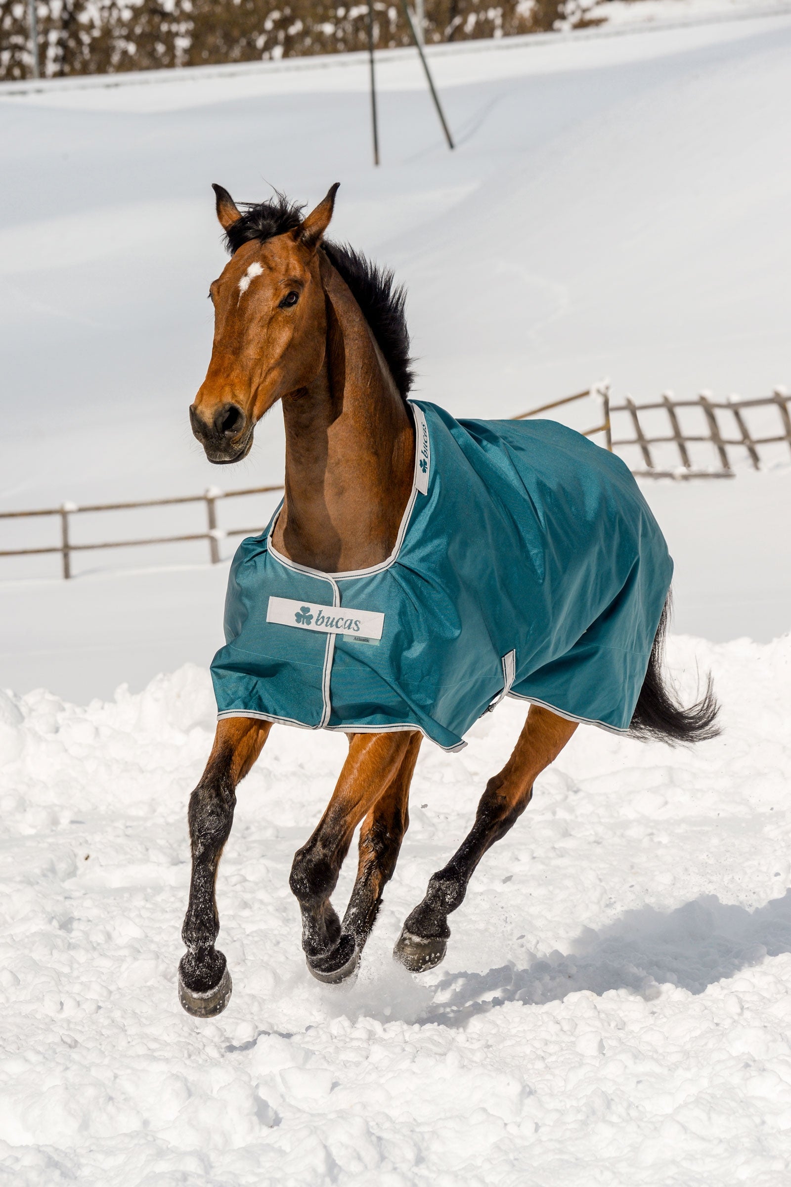 Bucas Atlantic Turnout Rug, 200g Horse Rugs
