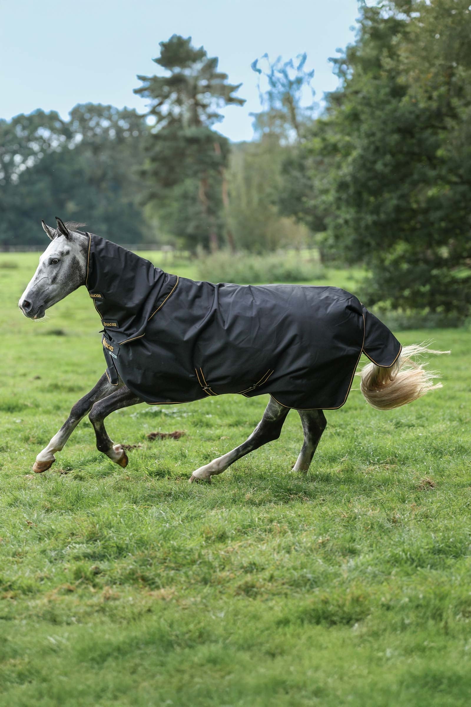 Bucas Irish Turnout 150 g Rug & Neck Set Pferdedecken