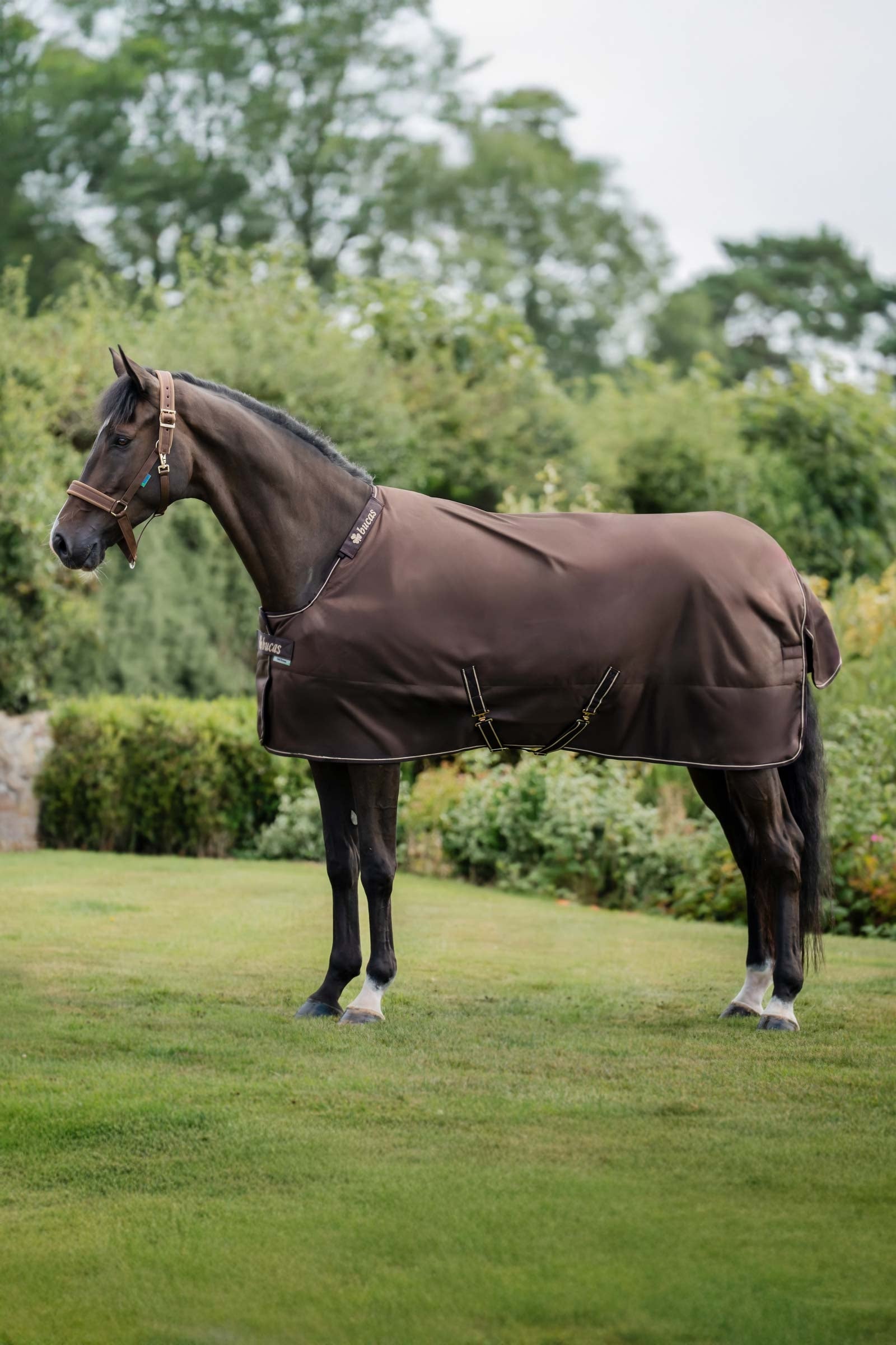 Bucas Irish Turnout 150 g Rug & Neck Set Pferdedecken