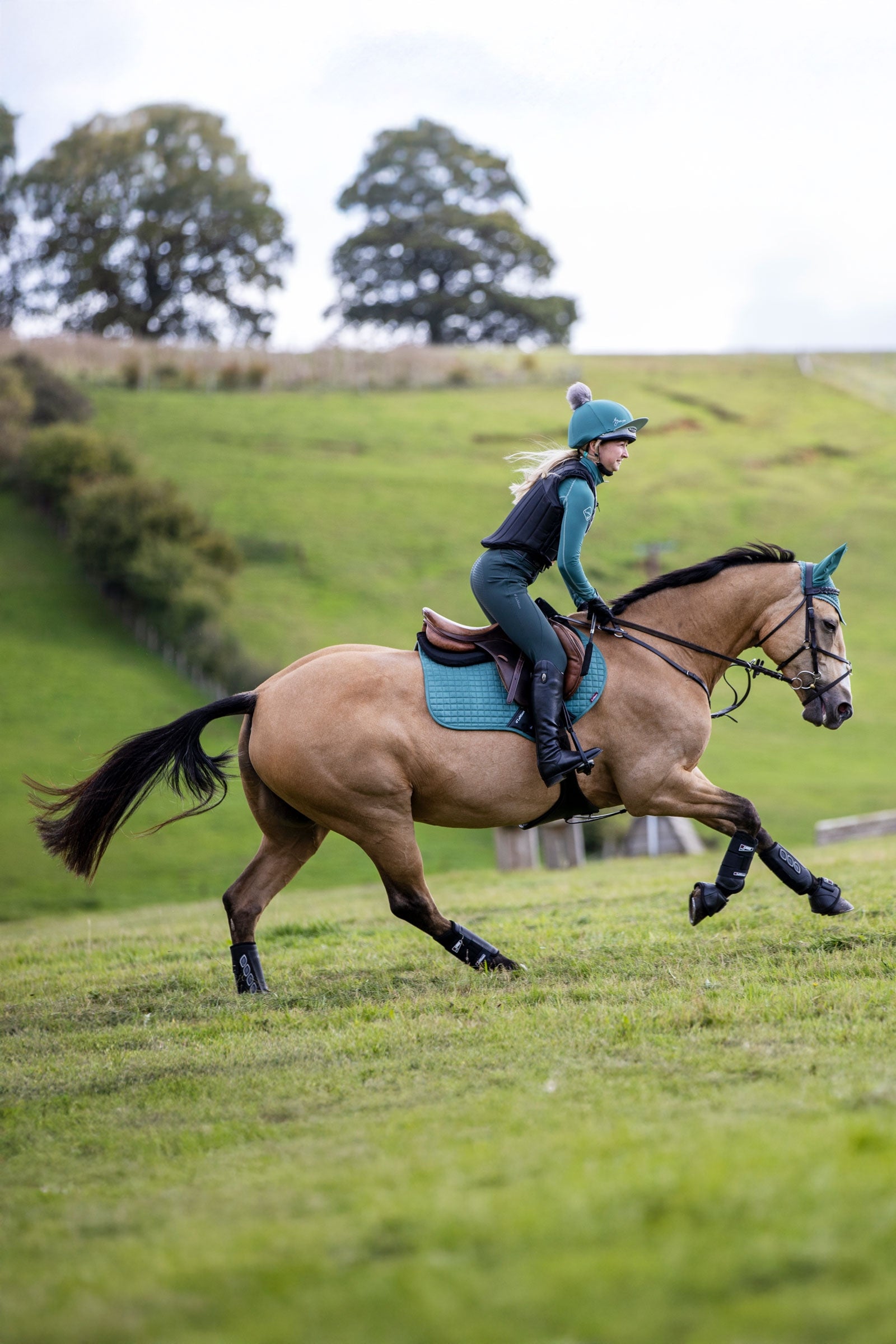 LeMieux Seasonal Luxury CC Jumping Saddle Pad Saddle Pads