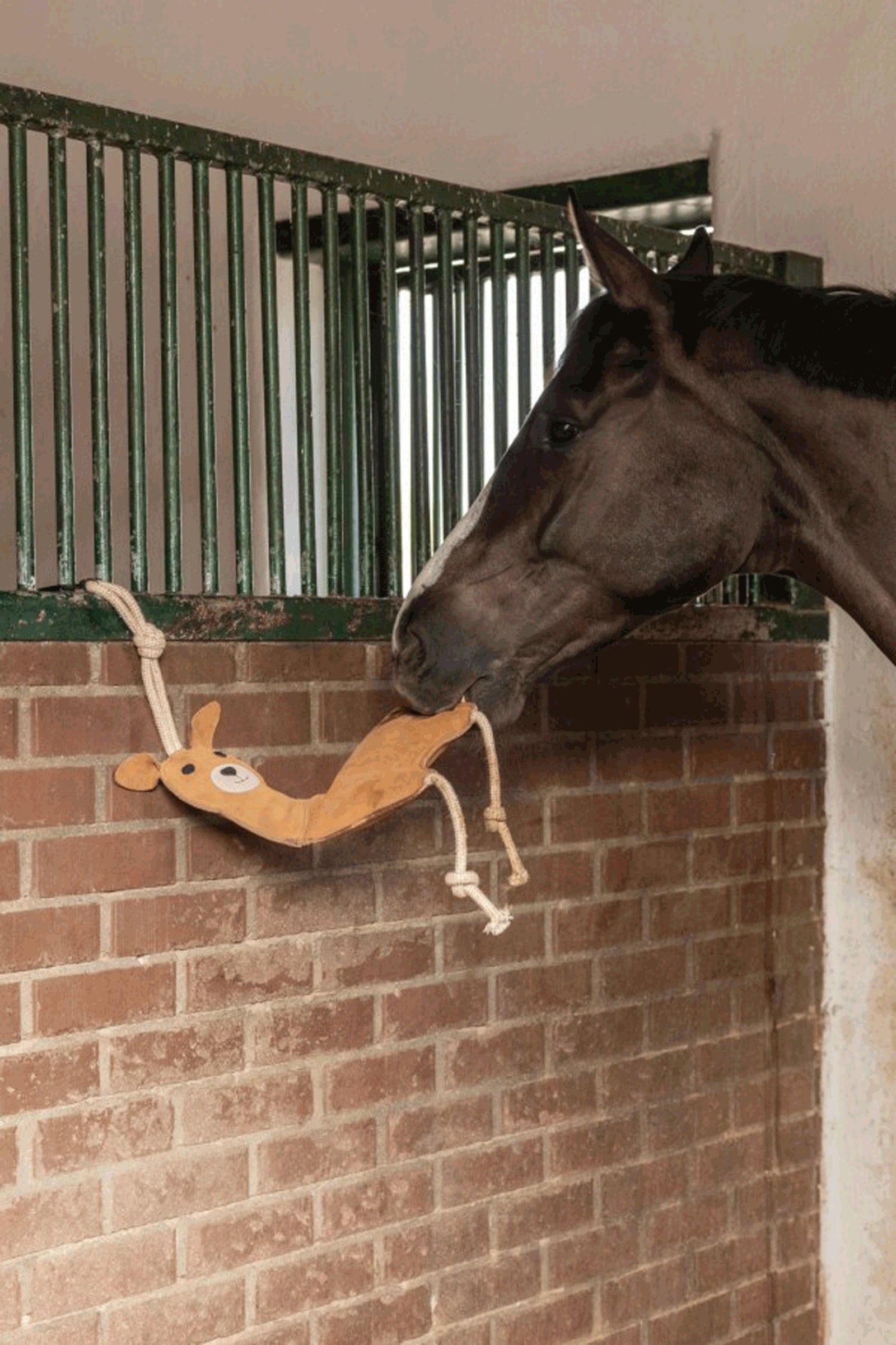 Kerbl Horse Toy Lama Horse Toys & Riding Arena Supplies