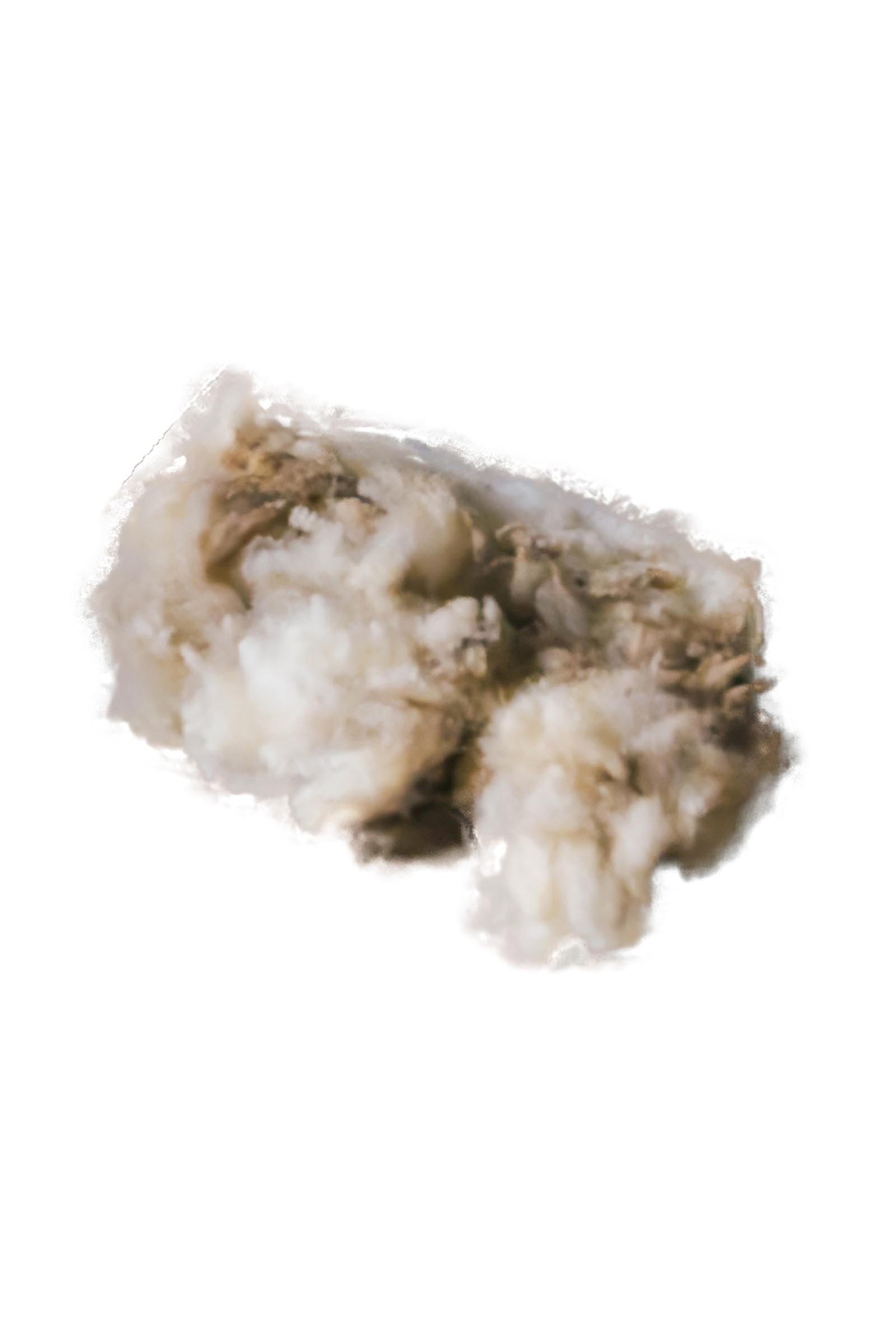 Grooming Deluxe Therapeutic Wool, 150 g Horse Health Care