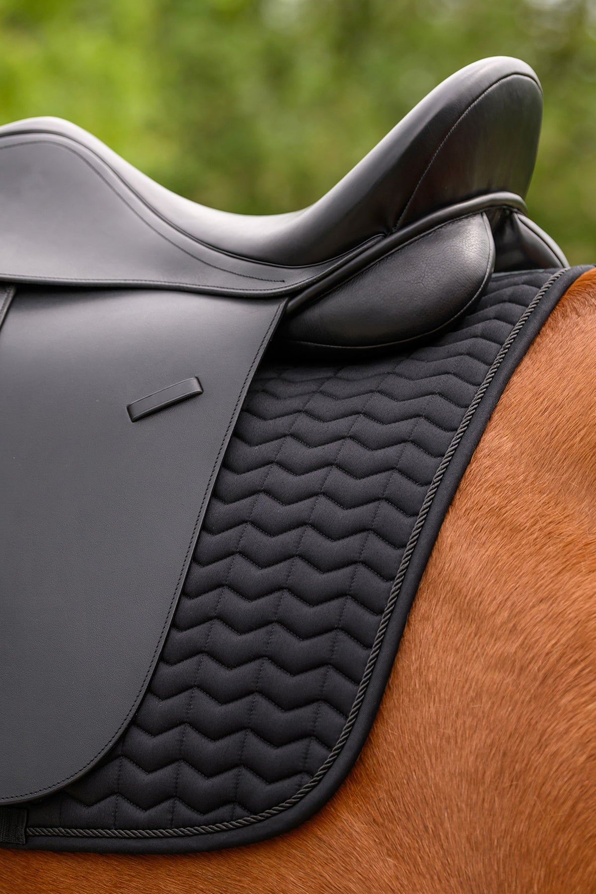 Waldhausen Classic Dressage Saddle Pad Saddle Pads