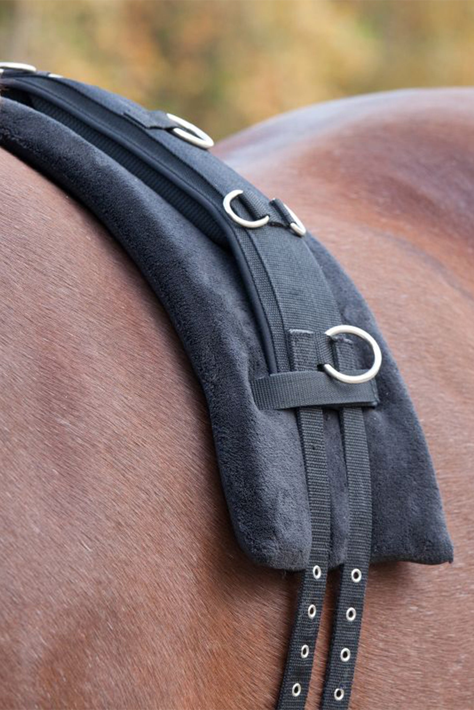 Waldhausen Longiergurt-Unterlage Memory Schaum Longieren & Bodenarbeit