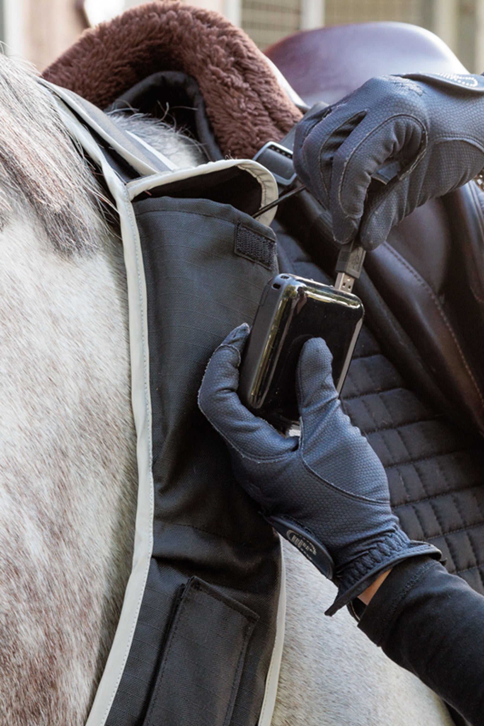 Kavalkade Horselight Breastplate With White Front Light Reflective