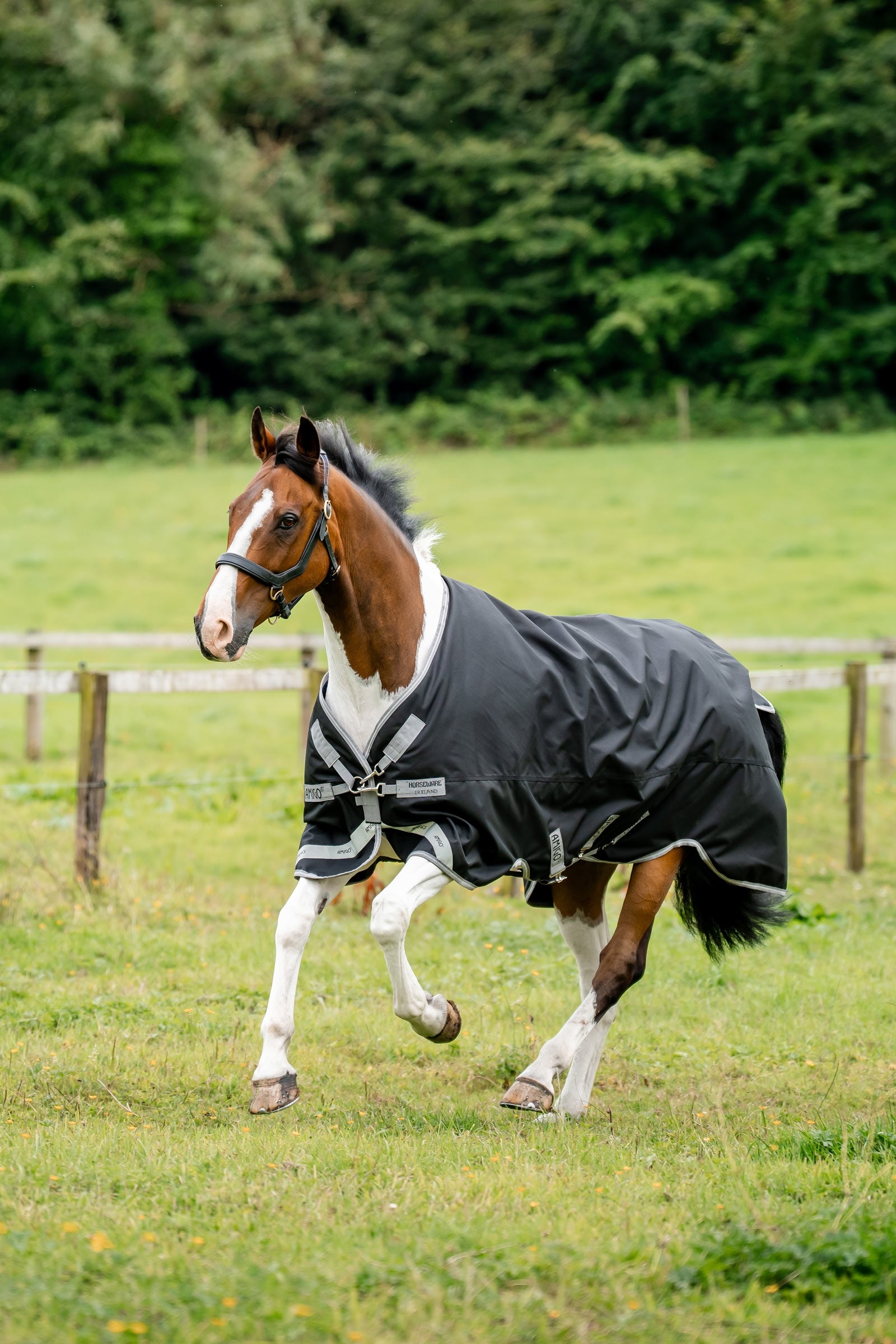 Horseware Amigo 1200D Turnout Rug, 50 g Horse Rugs