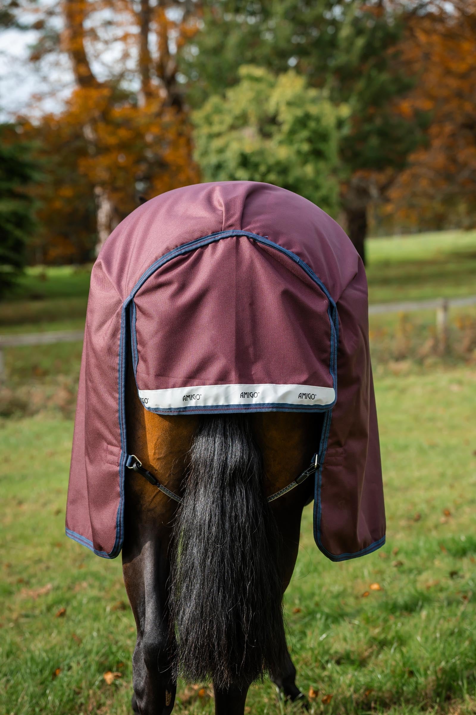 Horseware Amigo 1200D Turnout Rug, 50 g Horse Rugs