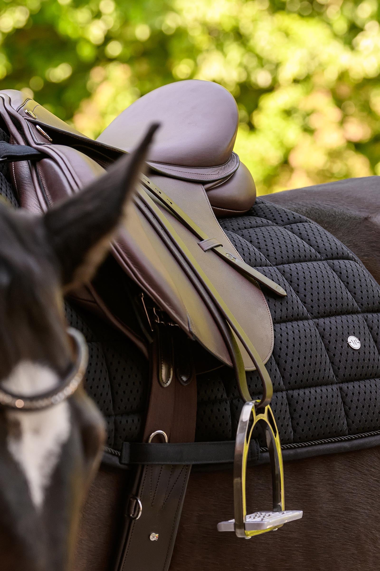 Waldhausen Breath Performance All Purpose Saddle Pad Saddle Pads