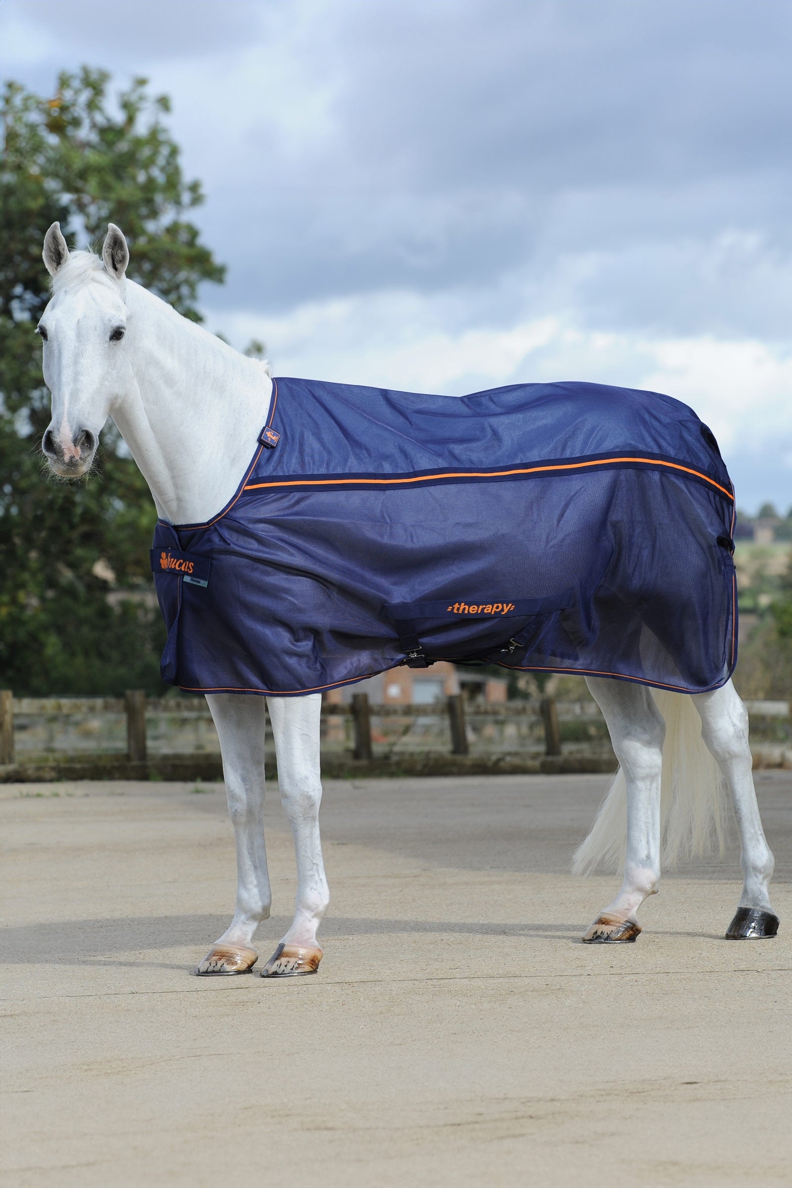 Bucas Therapy Mesh Cooler Rug Horse Rugs