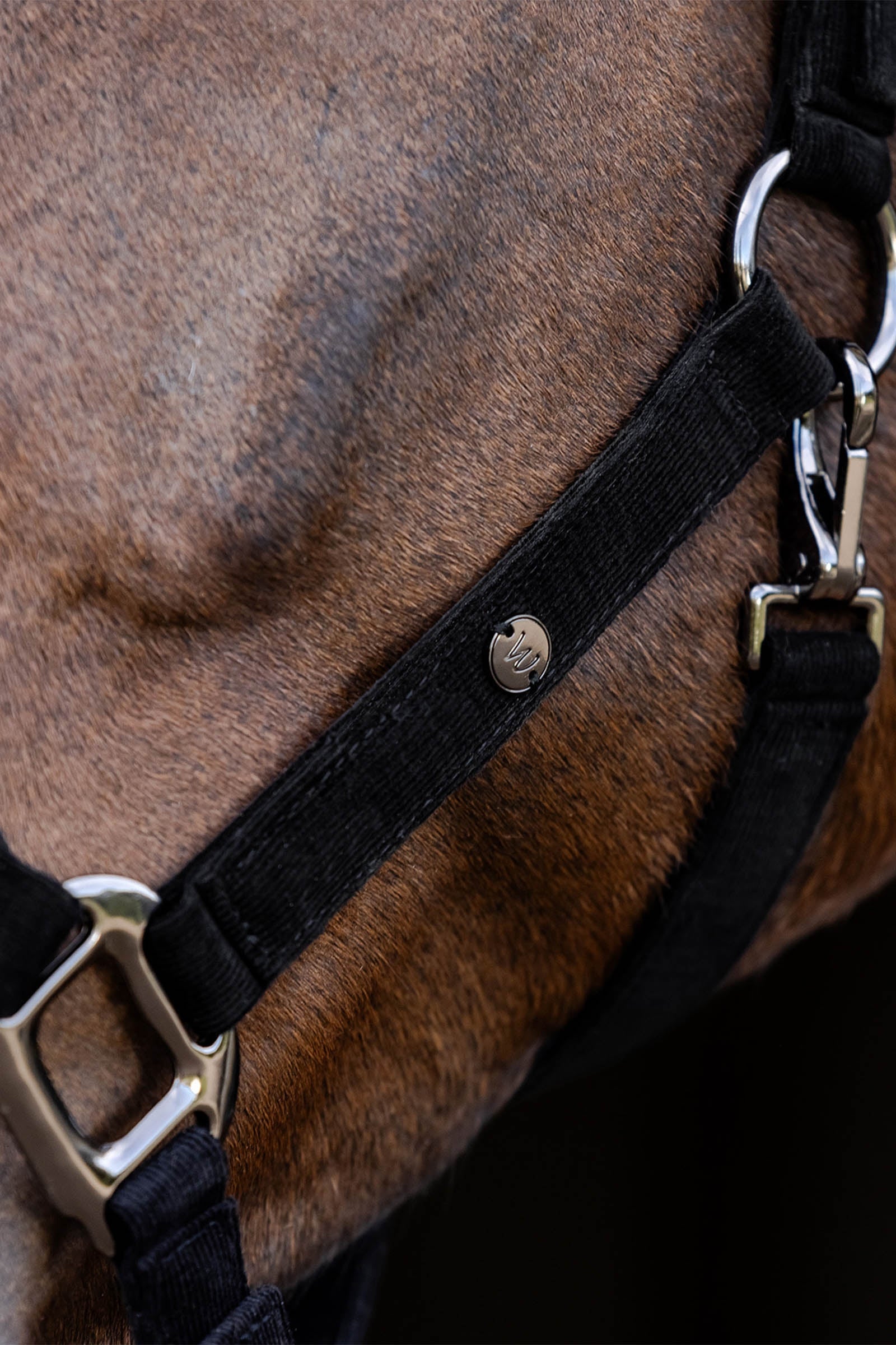 Waldhausen St. Gallen Halter Halters & Leads