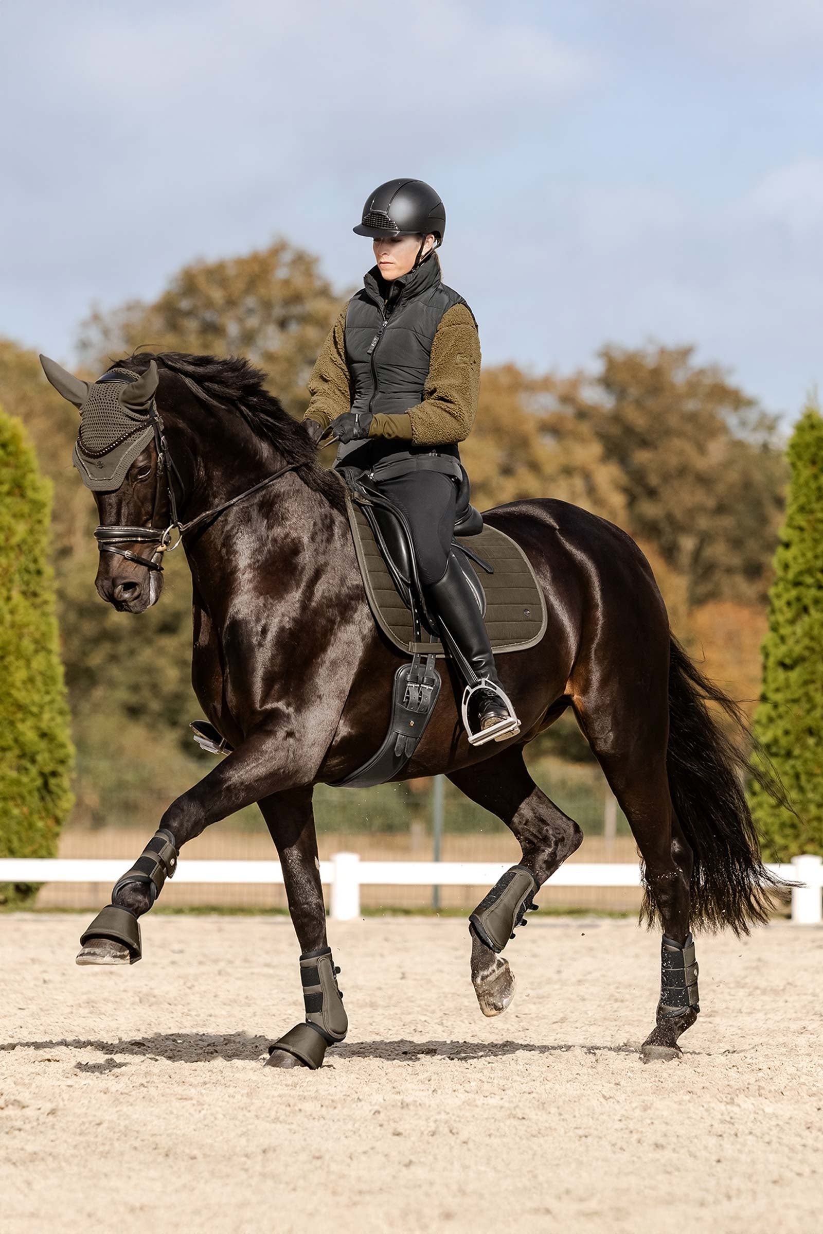 Waldhausen St. Gallen All Purpose Saddle Pad Schabracken