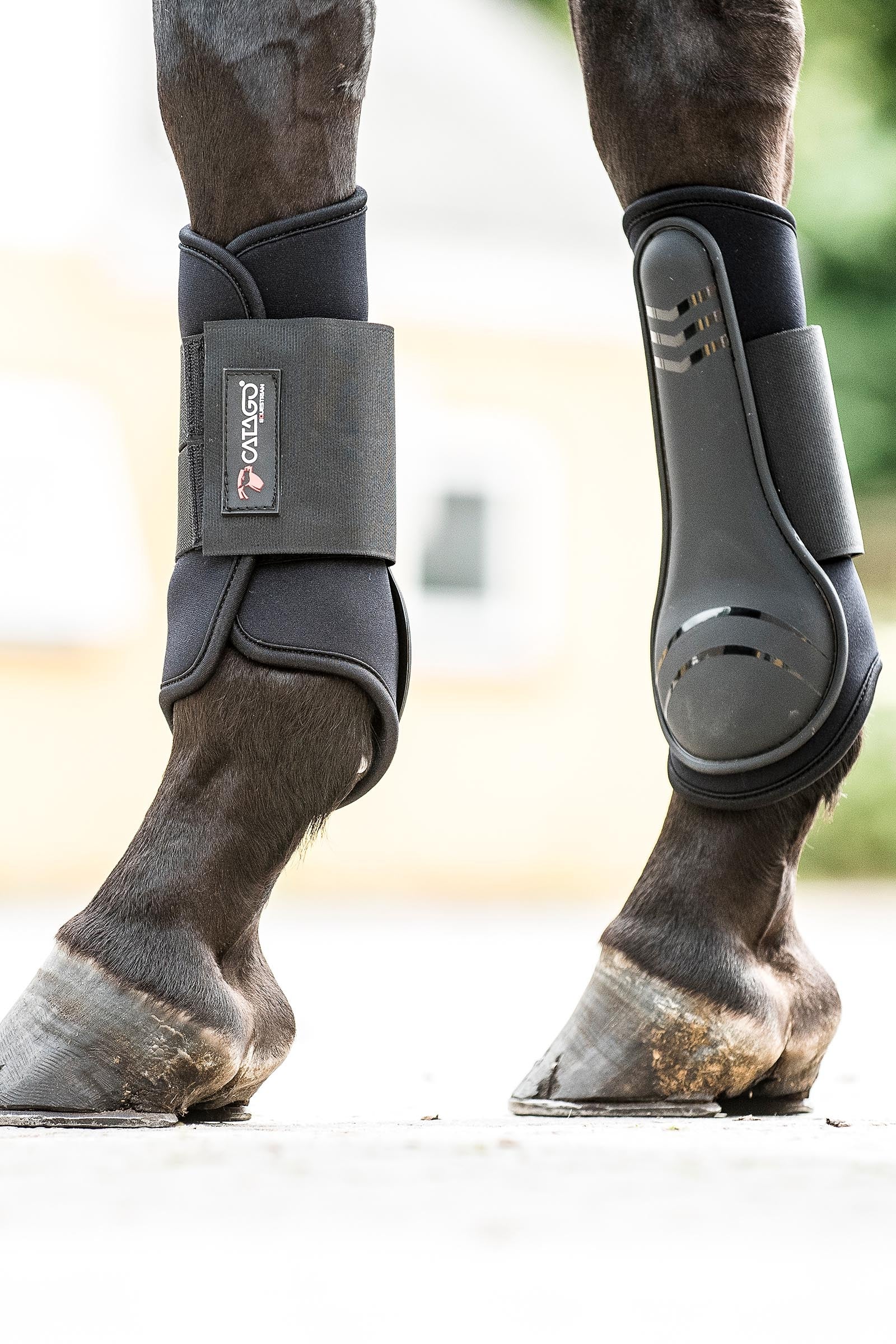 Catago Neoprene Dressage Boots Leg & Hoof Protection