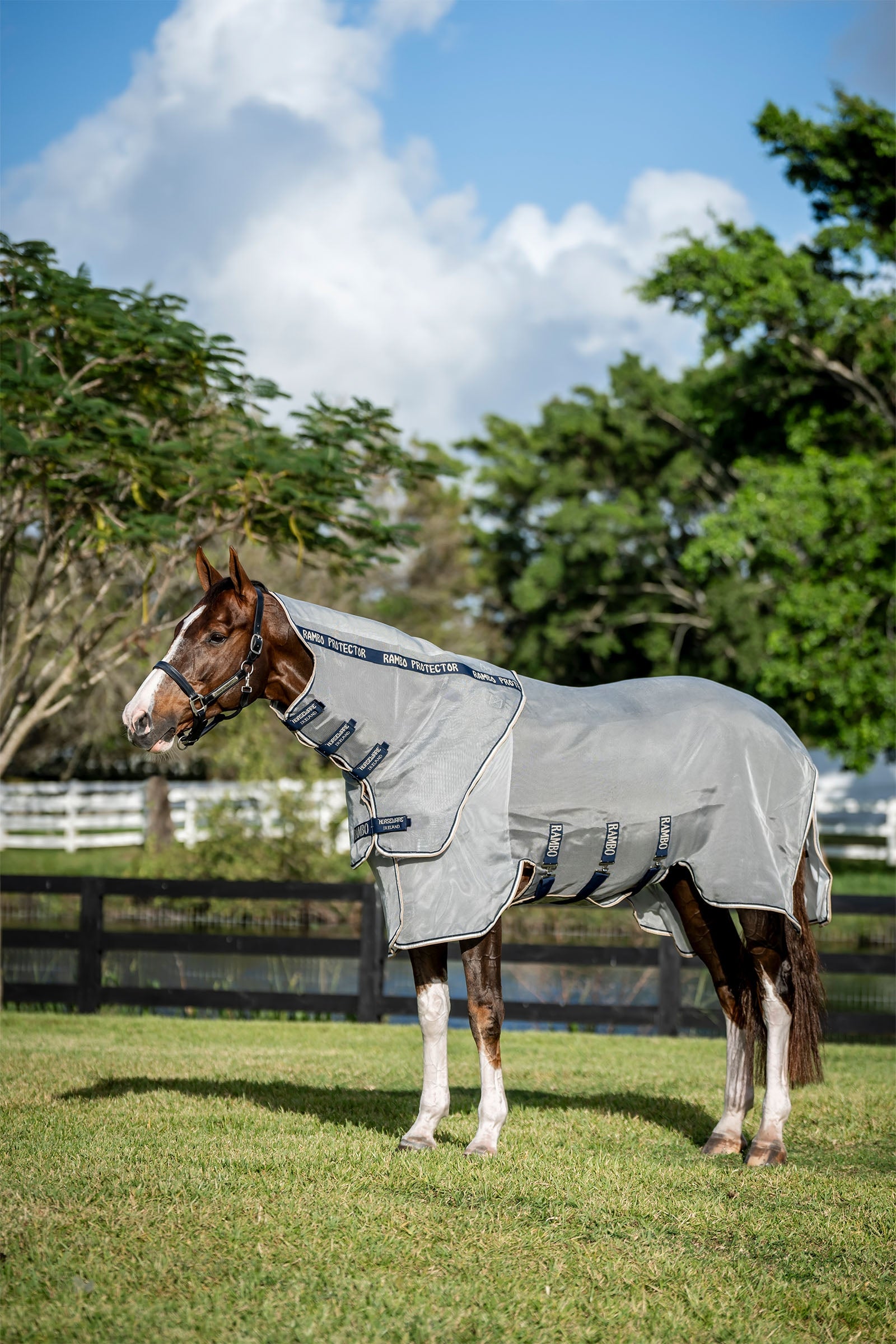 Horseware Rambo Protector Fieldsafe Plus Decke Pferdedecken
