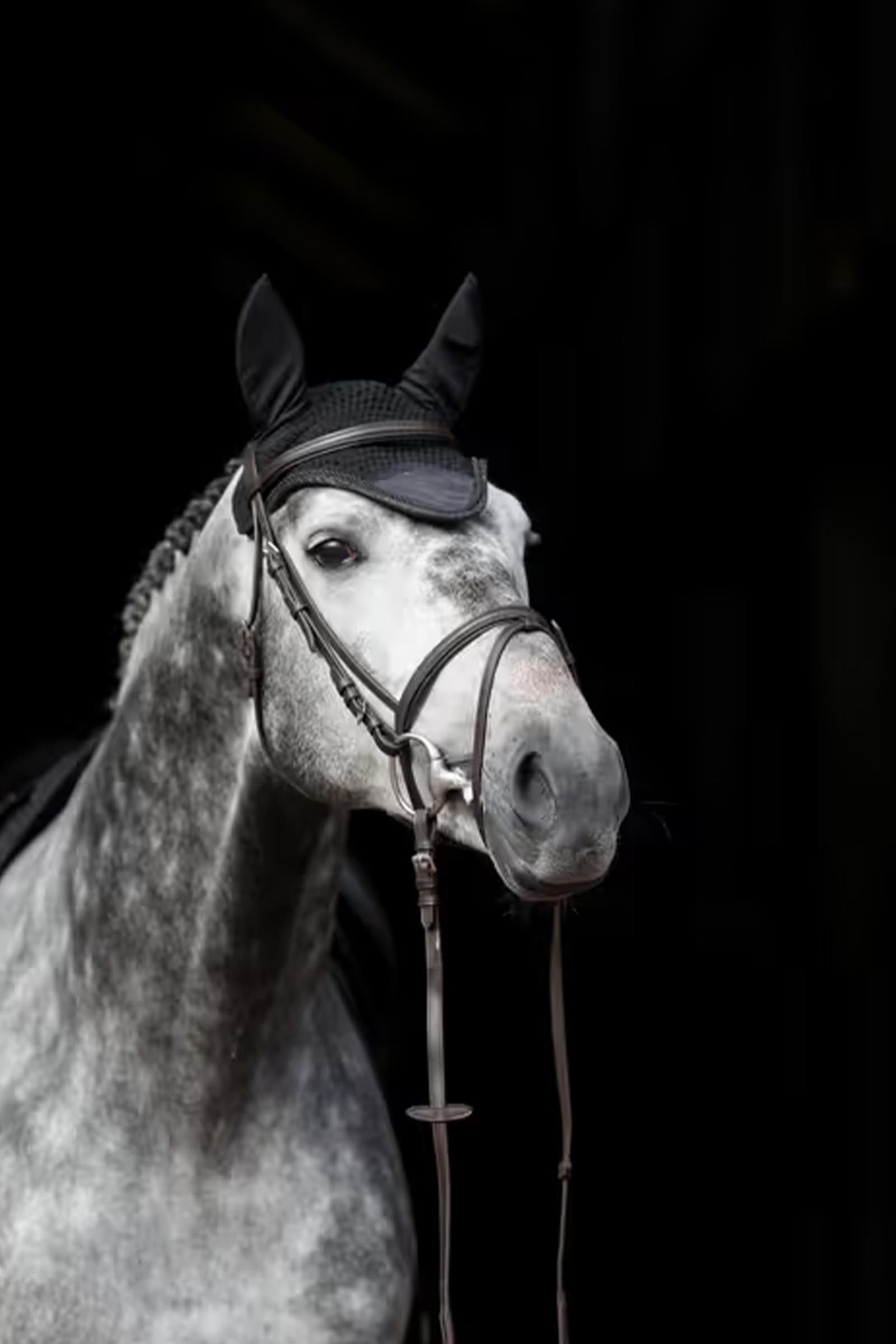 Covalliero Empara Fly Mask Antifly Protection for Horses
