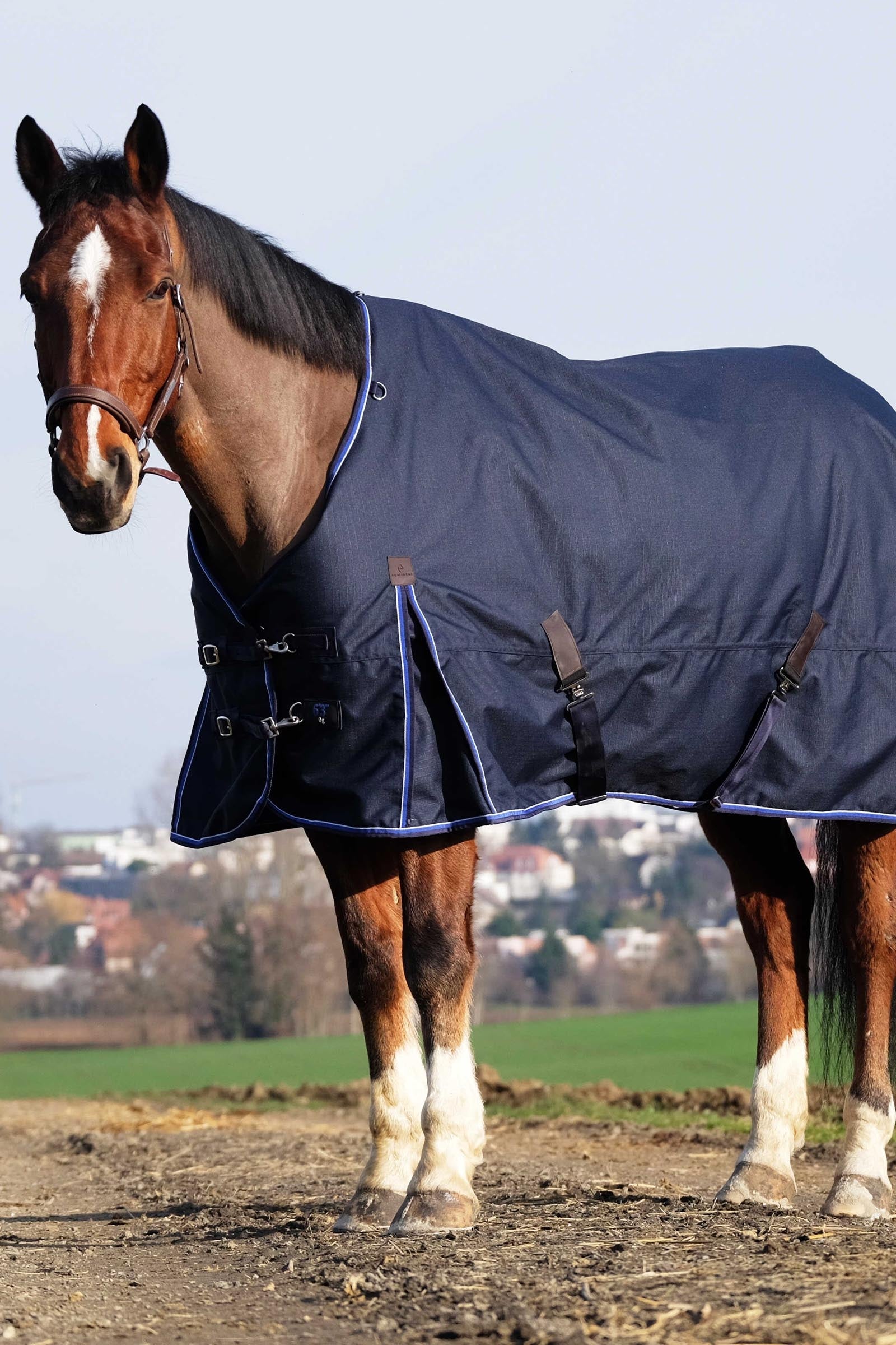 EQUITHÈME Classic 1200D Turnout Rug, 200 g Horse Rugs