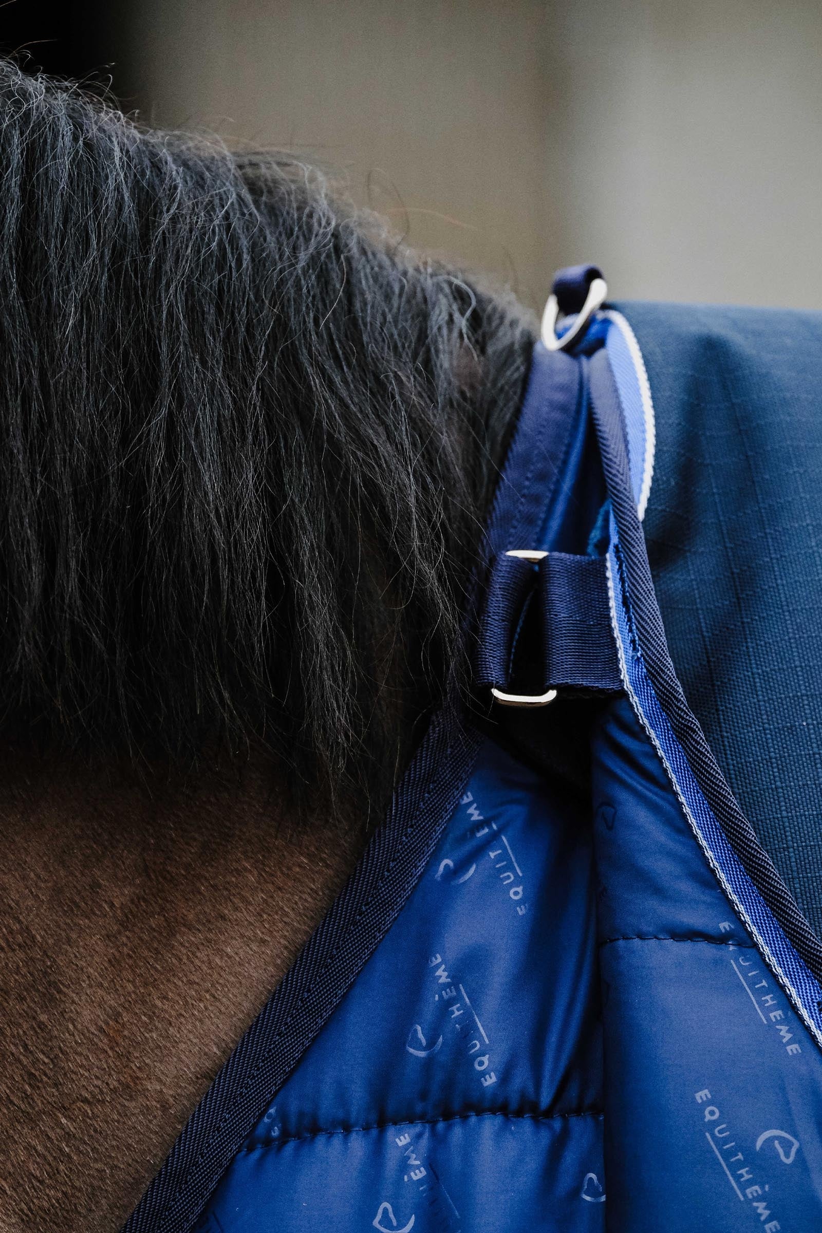 EQUITHÈME Classic 1200D Turnout Rug, 200 g Horse Rugs