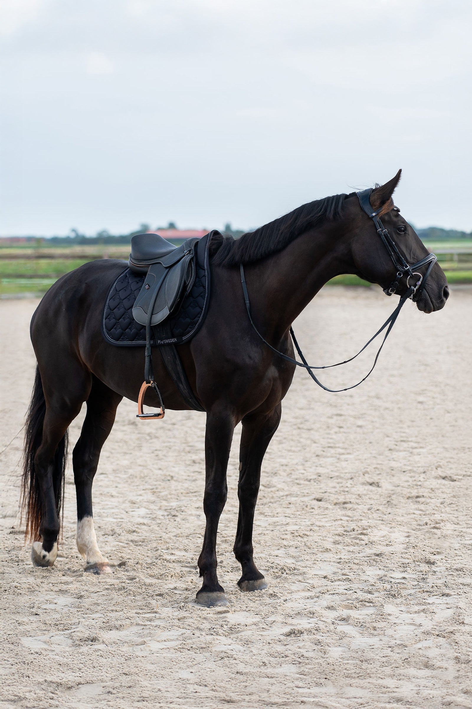 PS of Sweden Heart Jumping Saddle Pad Saddle Pads
