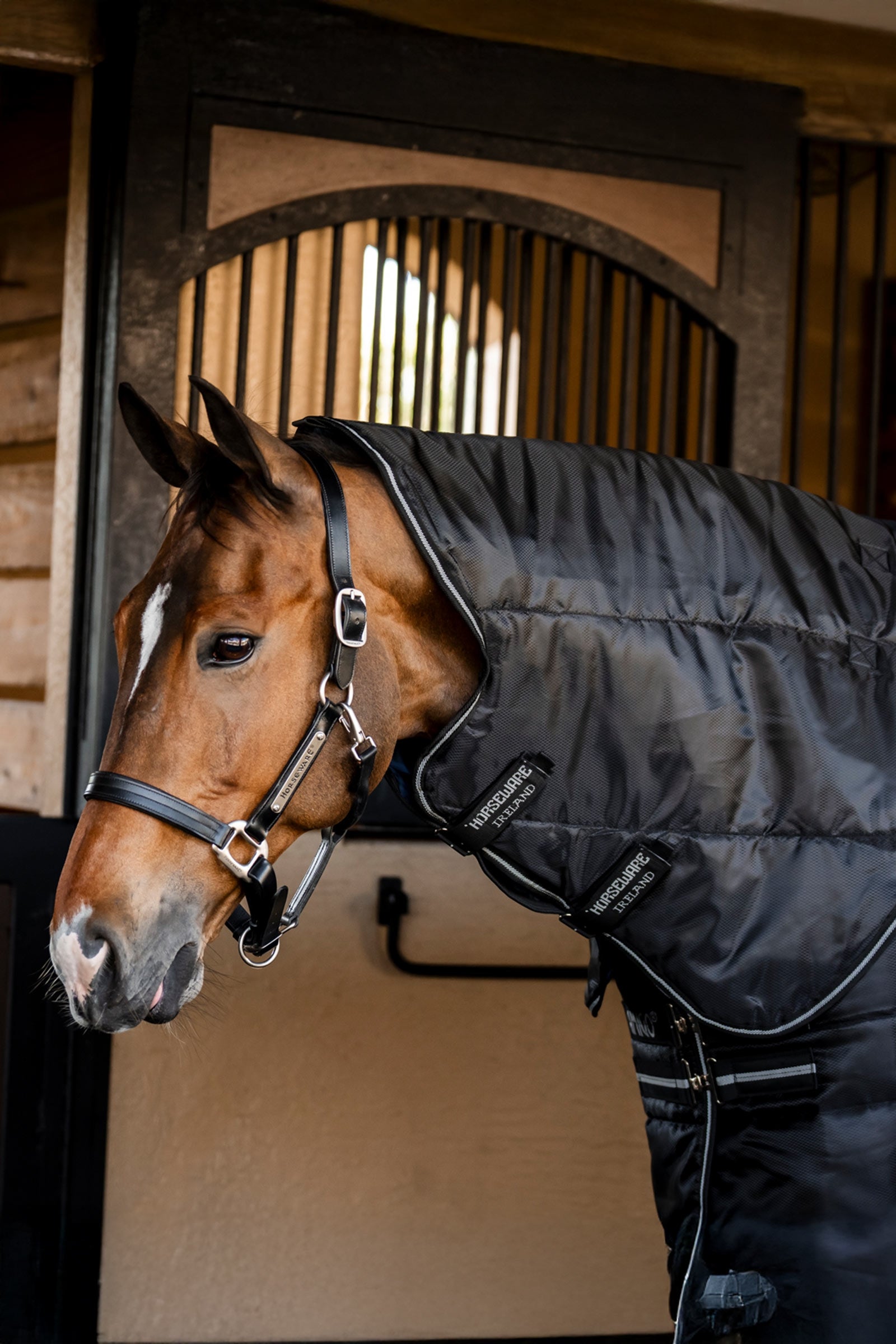Horseware Amigo Ripstop Insulator Plus Stalldecke, 200 g Pferdedecken