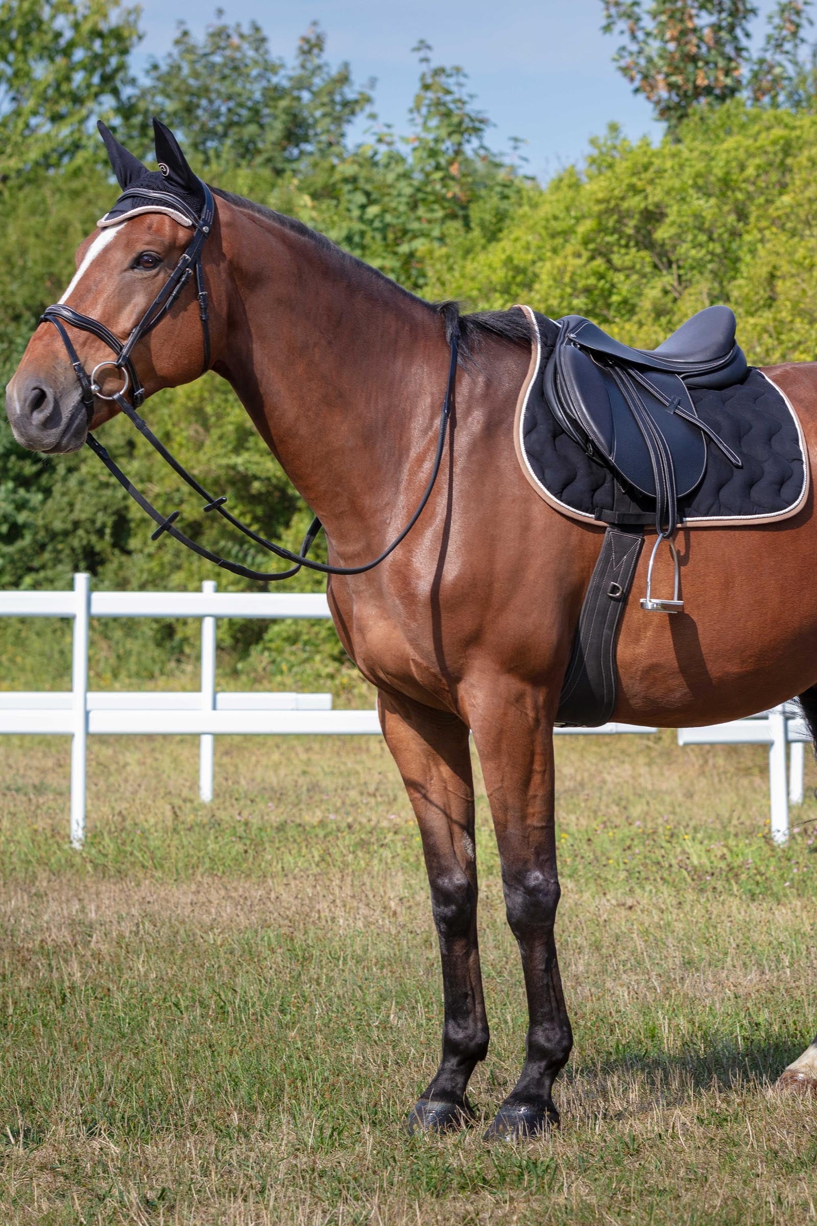EQUITHÈME Polyfun All Purpose Saddle Pad, Shetland Saddle Pads