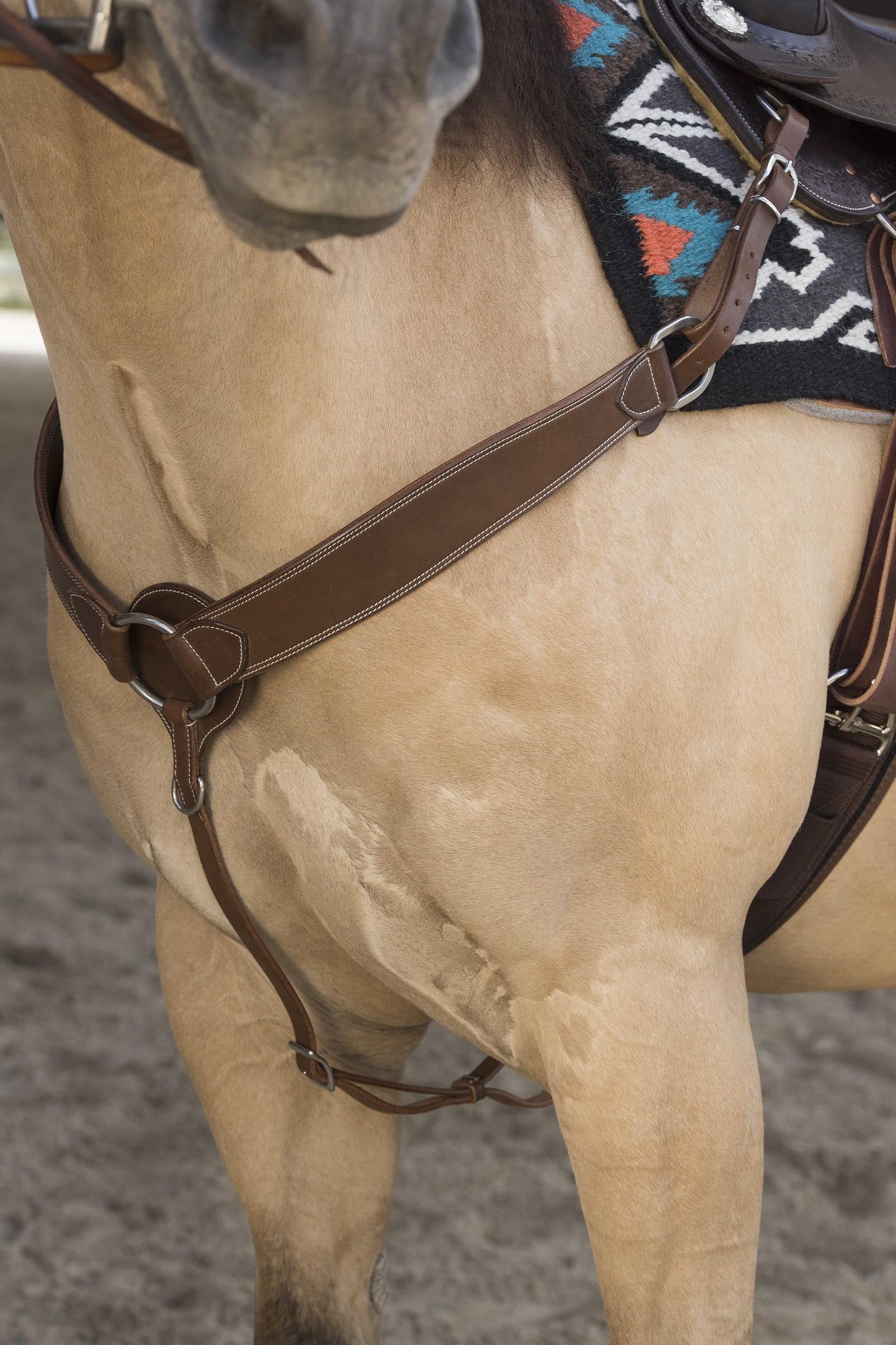 WESTRIDE Billy Hunting Collar by Franck Perret Trensenzäume & Zügel